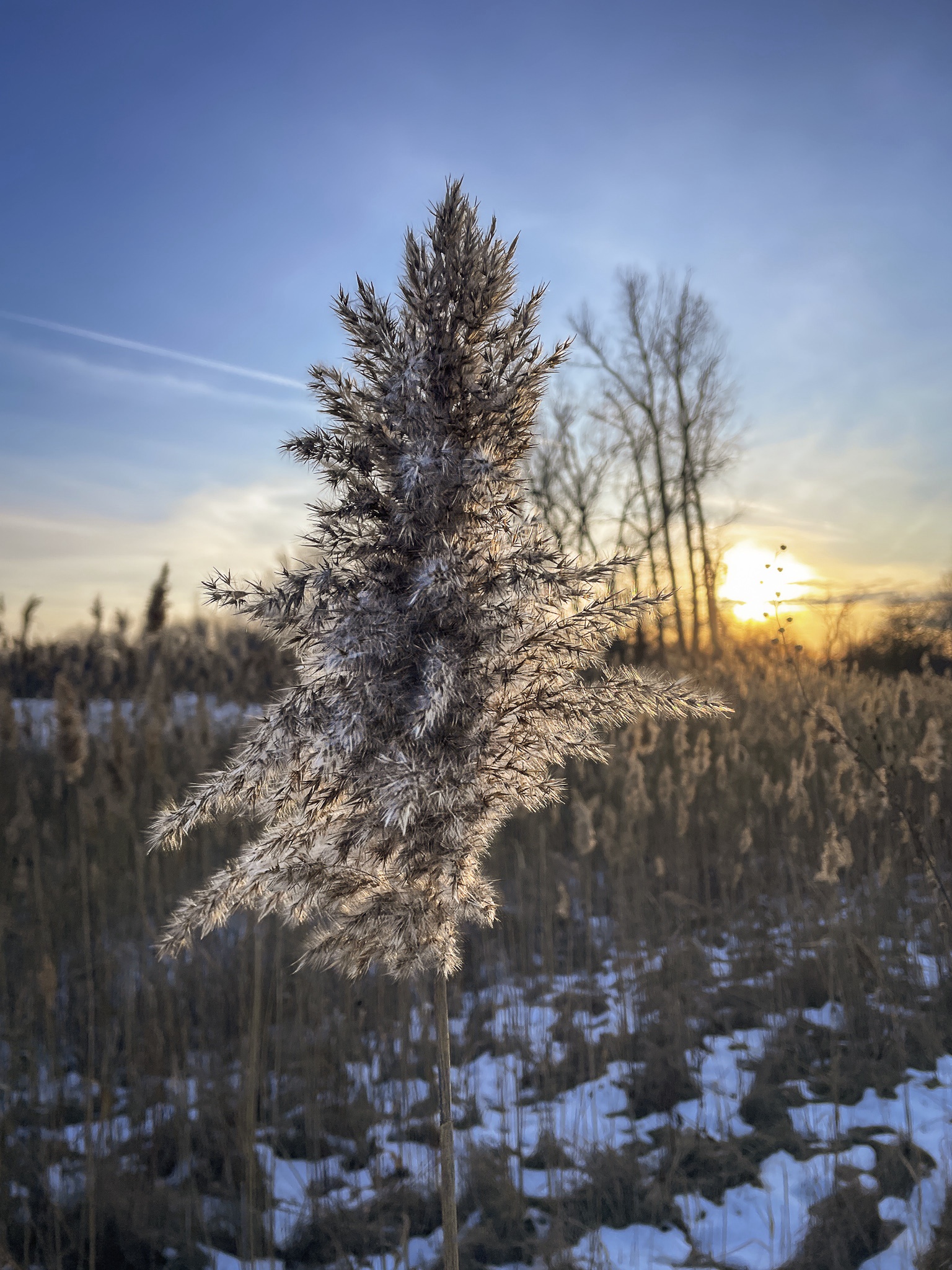 A serene afternoon in Southern Michigan