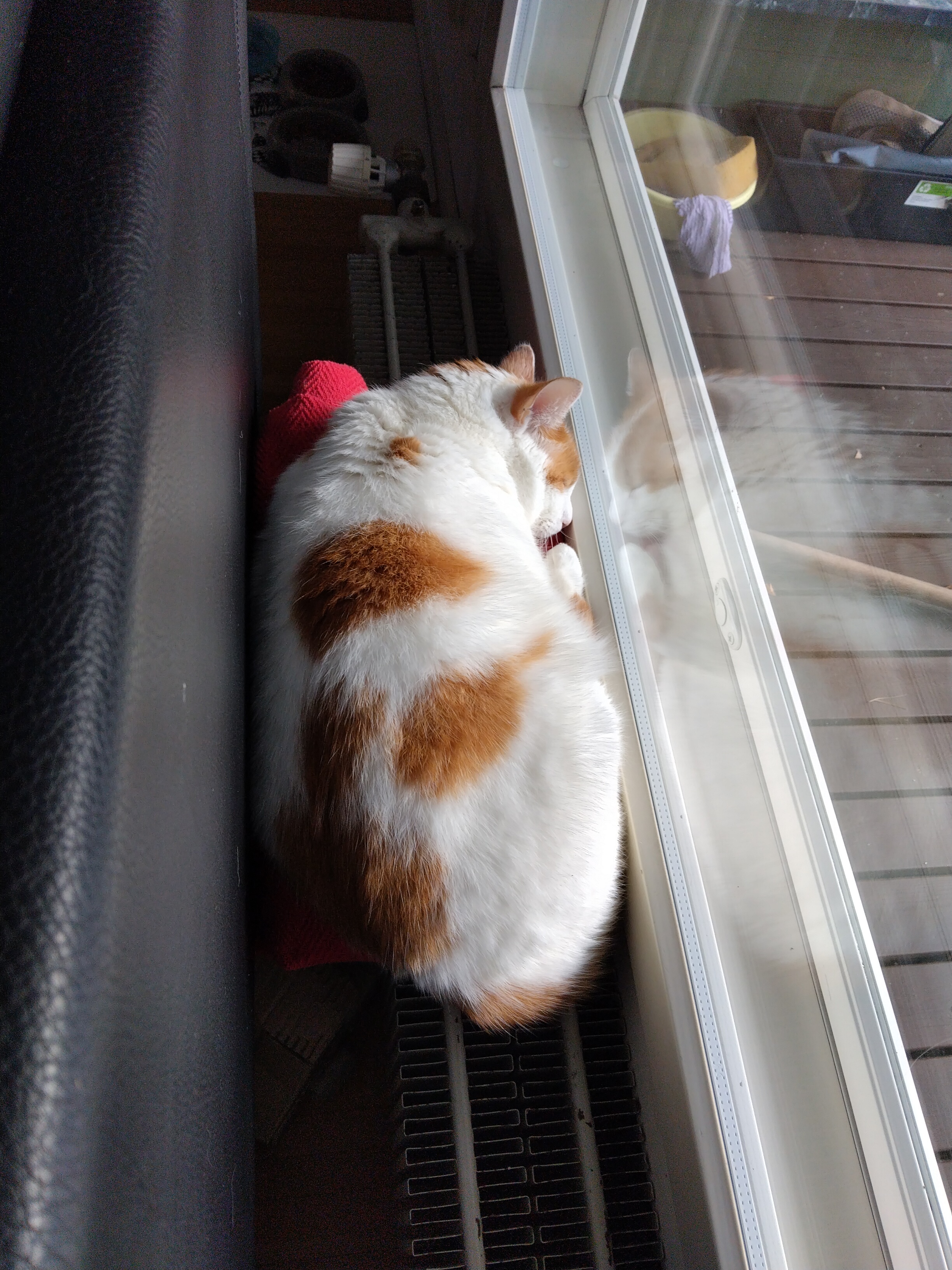Discovering His New Favorite Hangout Spot