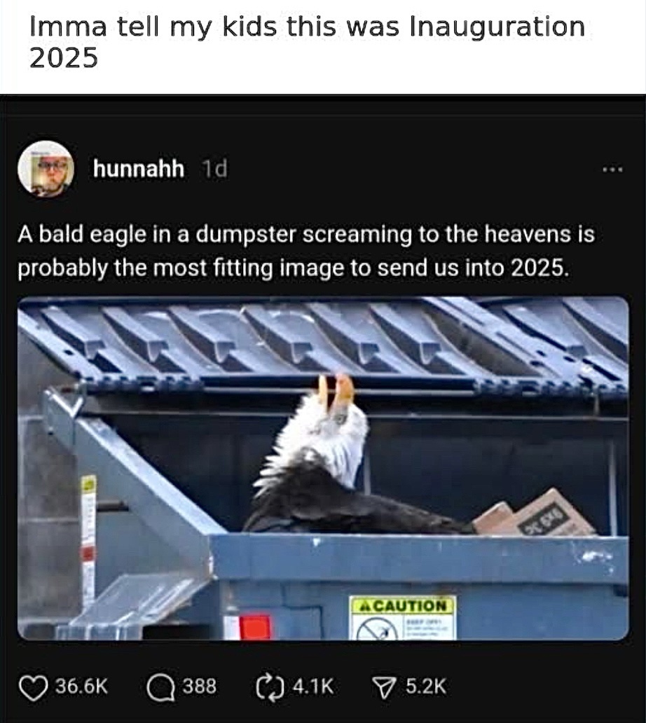 A glimpse into America in 2025