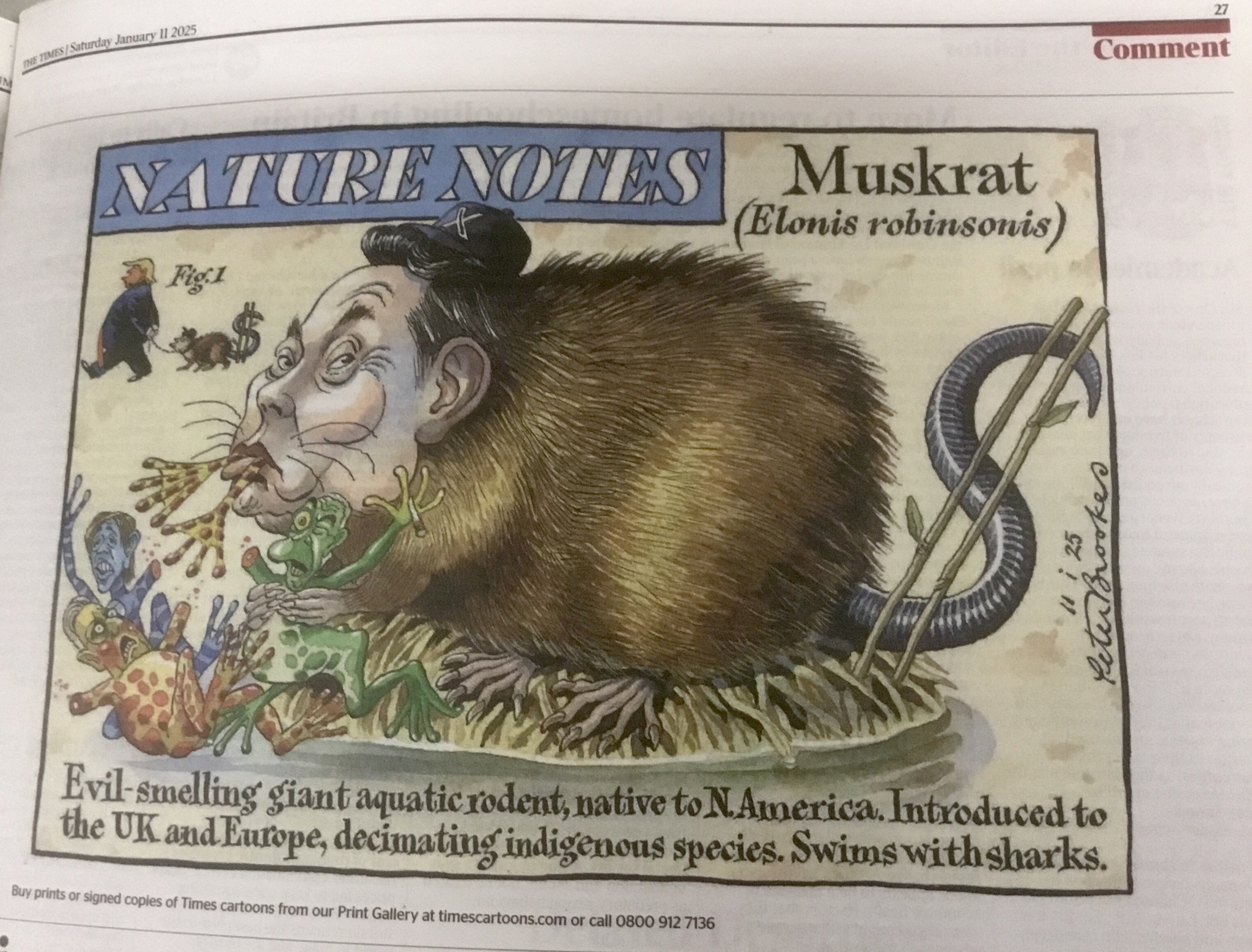 The Times of London: Spotting a Rat in the Headlines