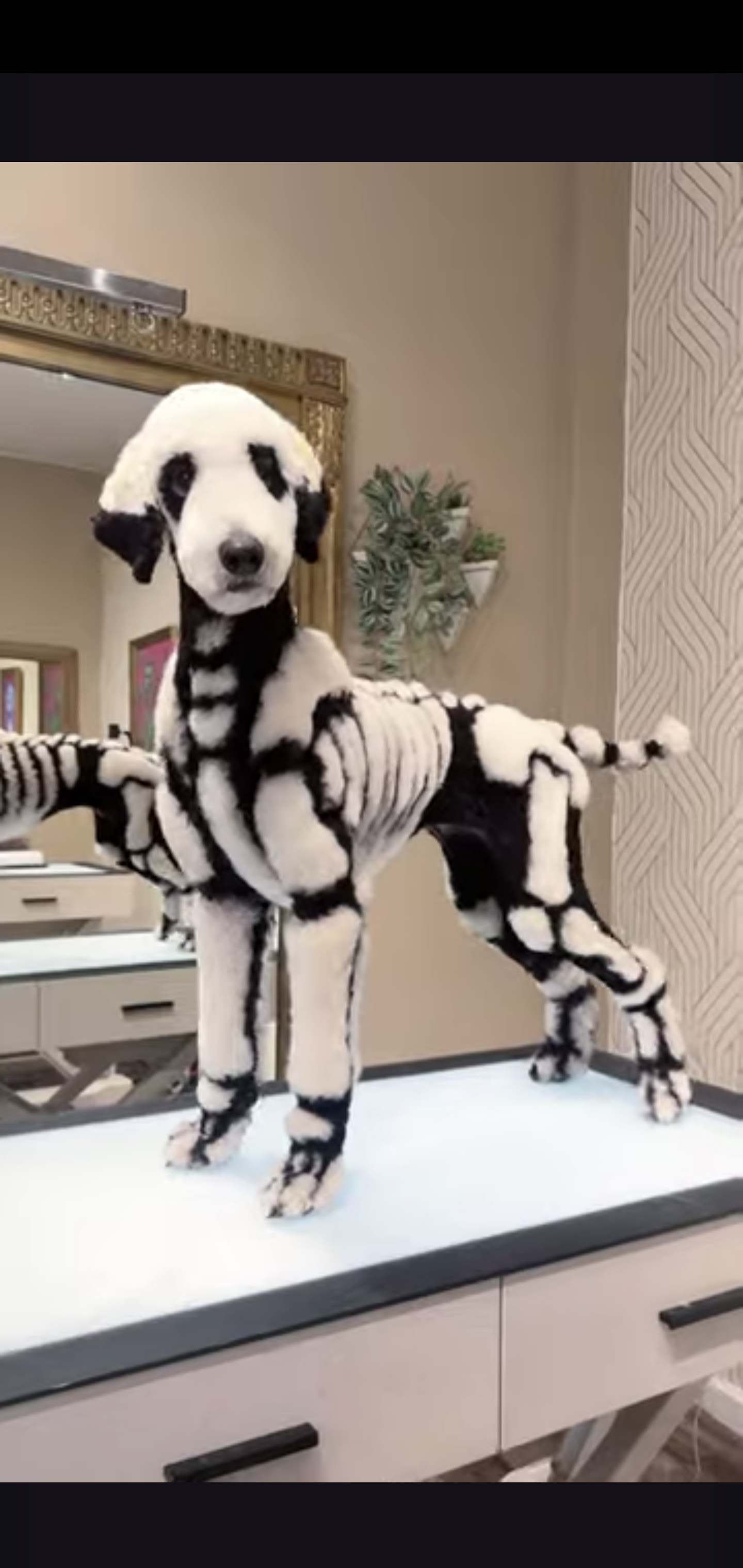 Getting into the Spooky Spirit!