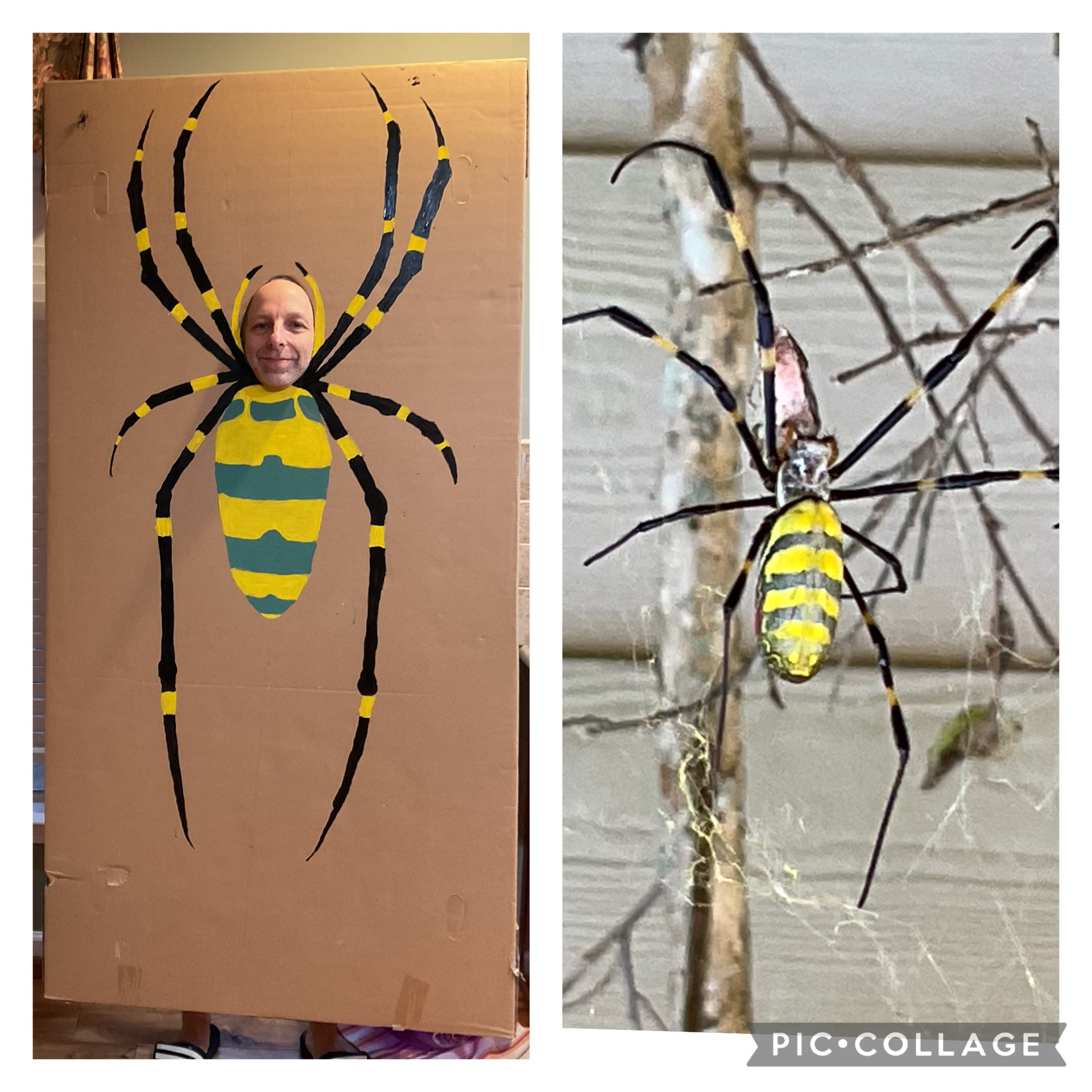 Transform into a Joro Spider for Halloween Fun