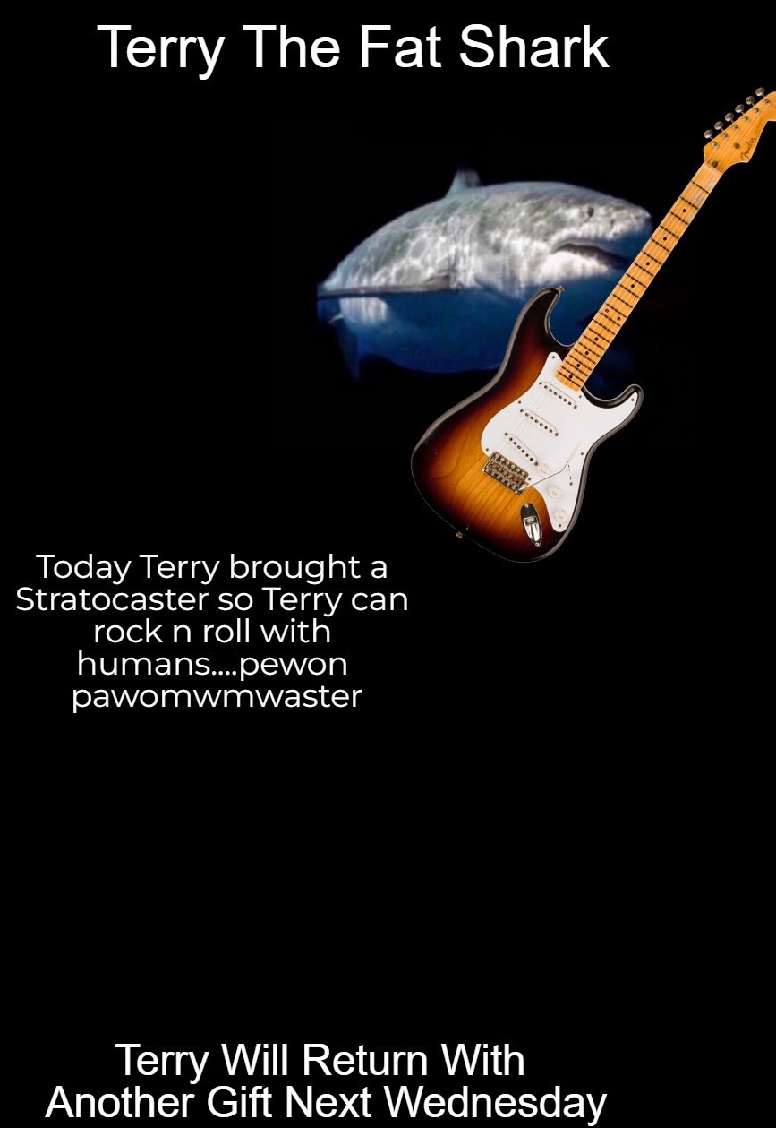 Terry's Wednesday Surprise is here!