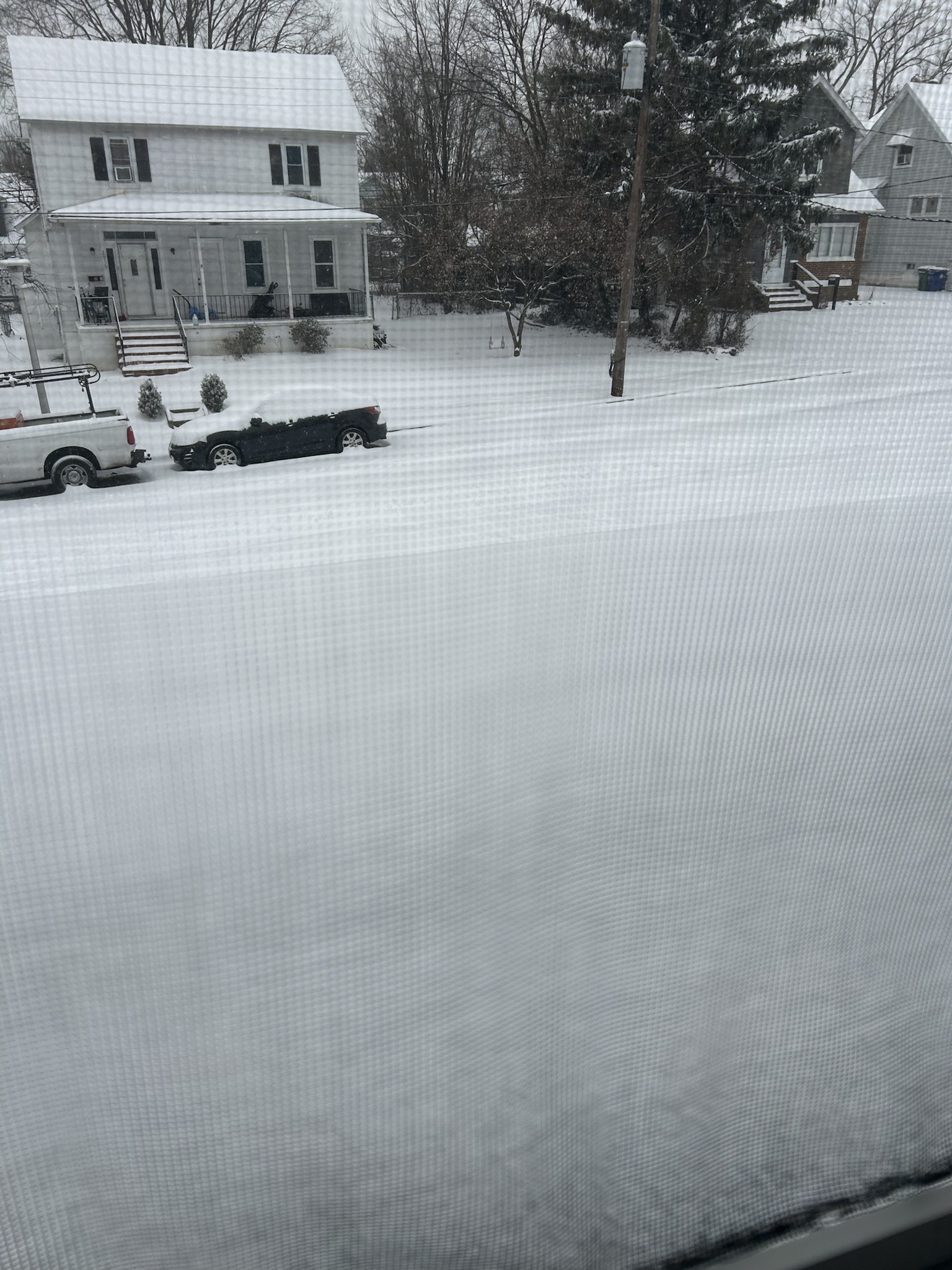 Embracing the Magic of a Snow Day in Maryland