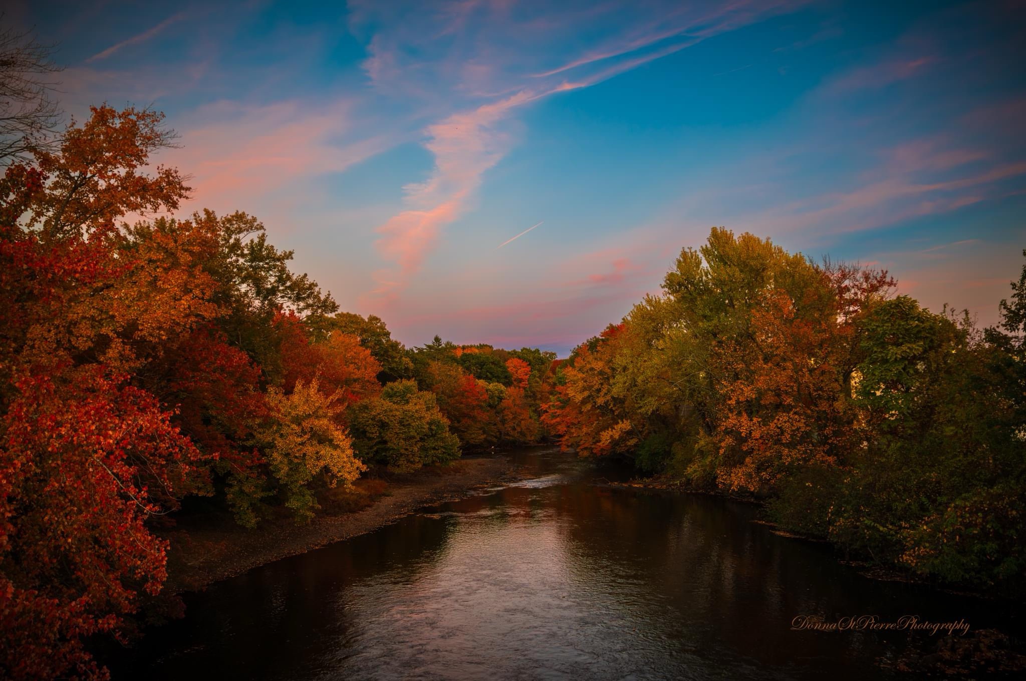 The Beauty of Autumn Unfolds