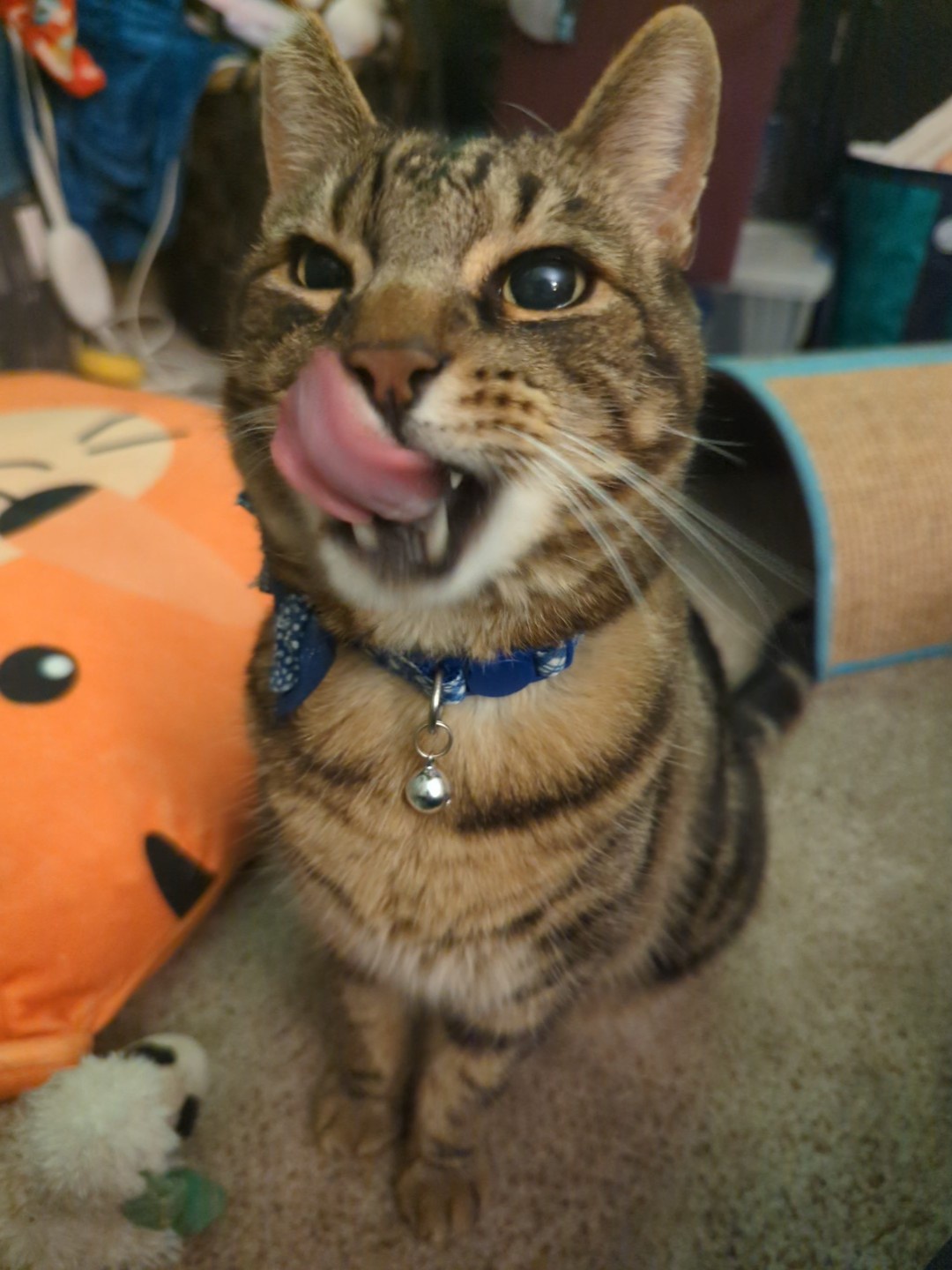 His Love for Chicken Nuggets Knows No Bounds