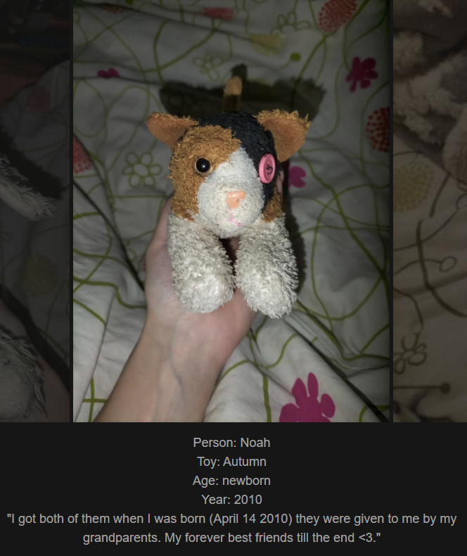Day 837: Join Me on a Nostalgic Adventure at my Website Celebrating Childhood Toys - Meet Autumn, Our Latest Addition!