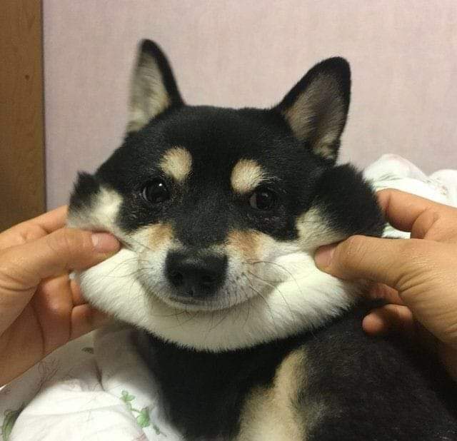 My boss insists I need to adopt a more positive outlook