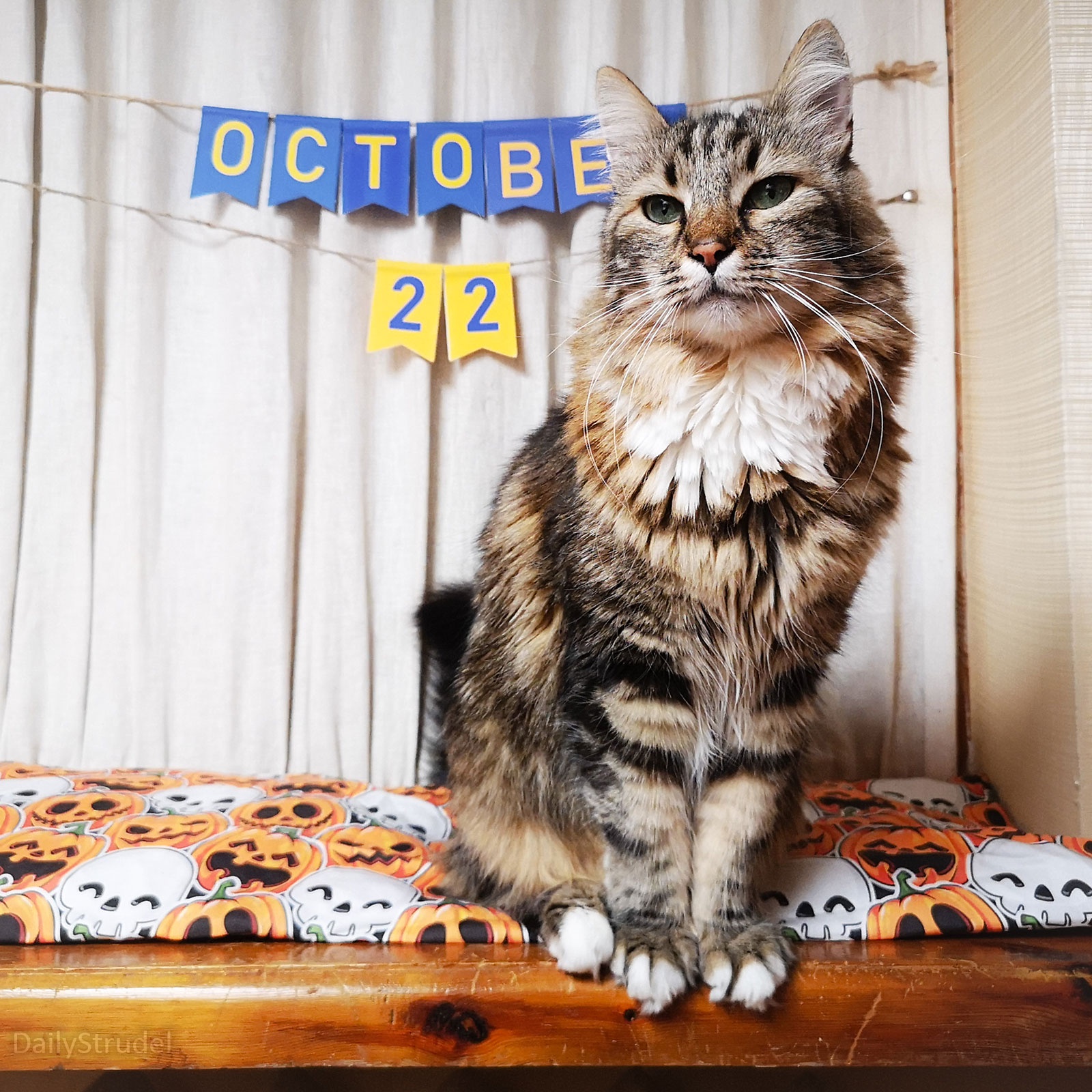 Mark Your Calendars: October 22 is Here!