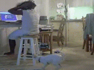 Dog Snatches Weave: The Animated Saga