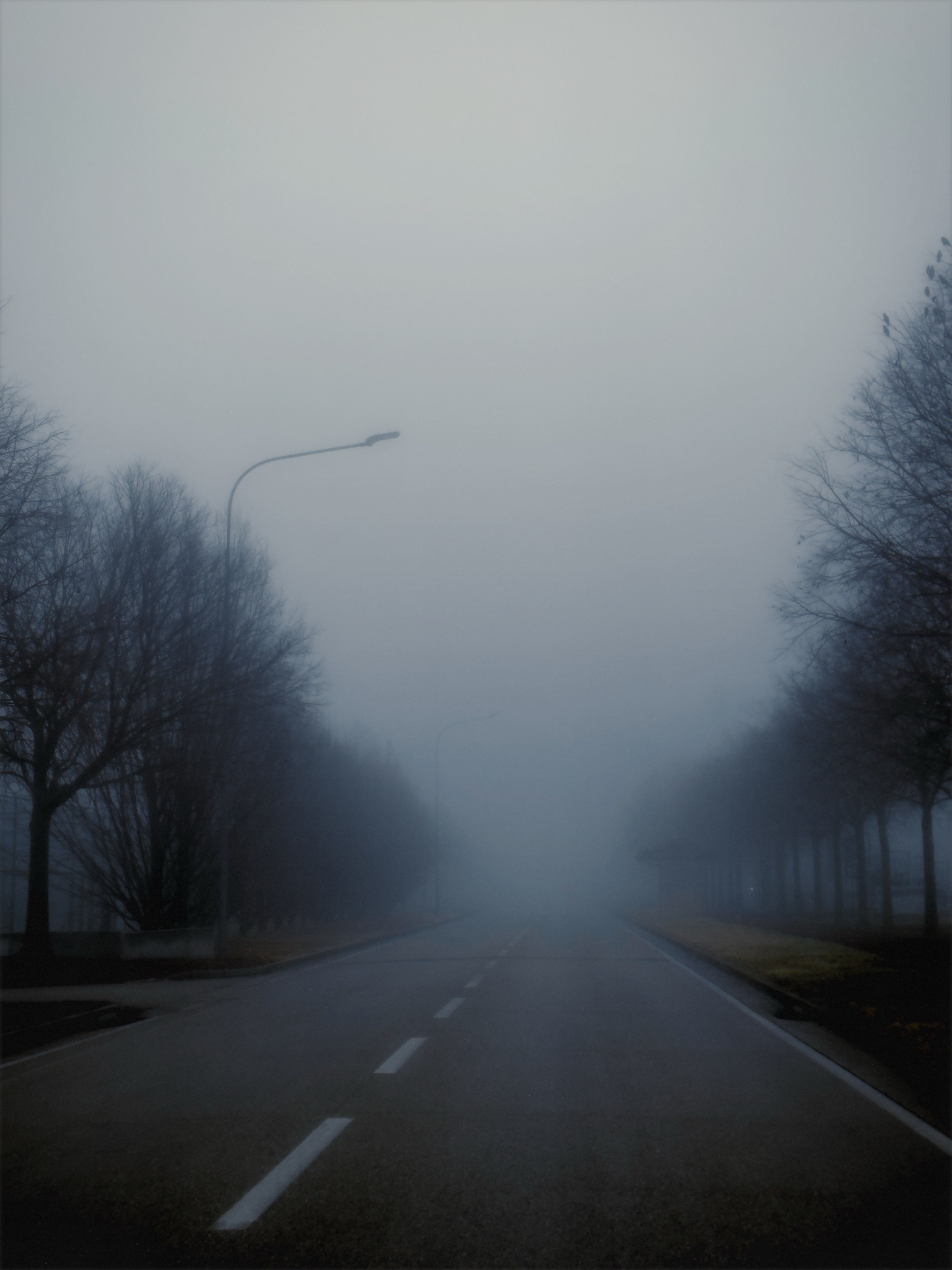 Pyramid Head is lurking out there... somewhere...