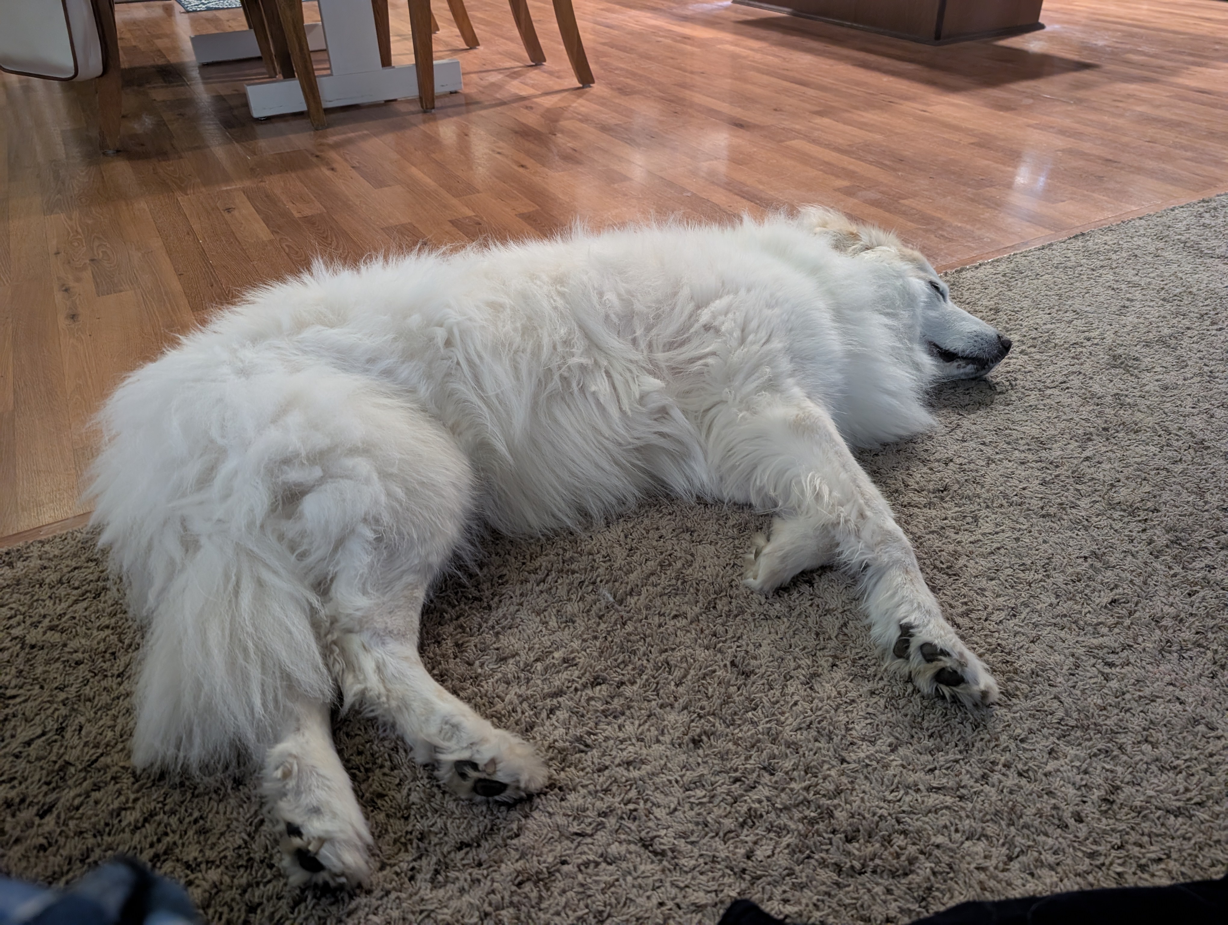Winter Chronicles: Day 784 of the Chill