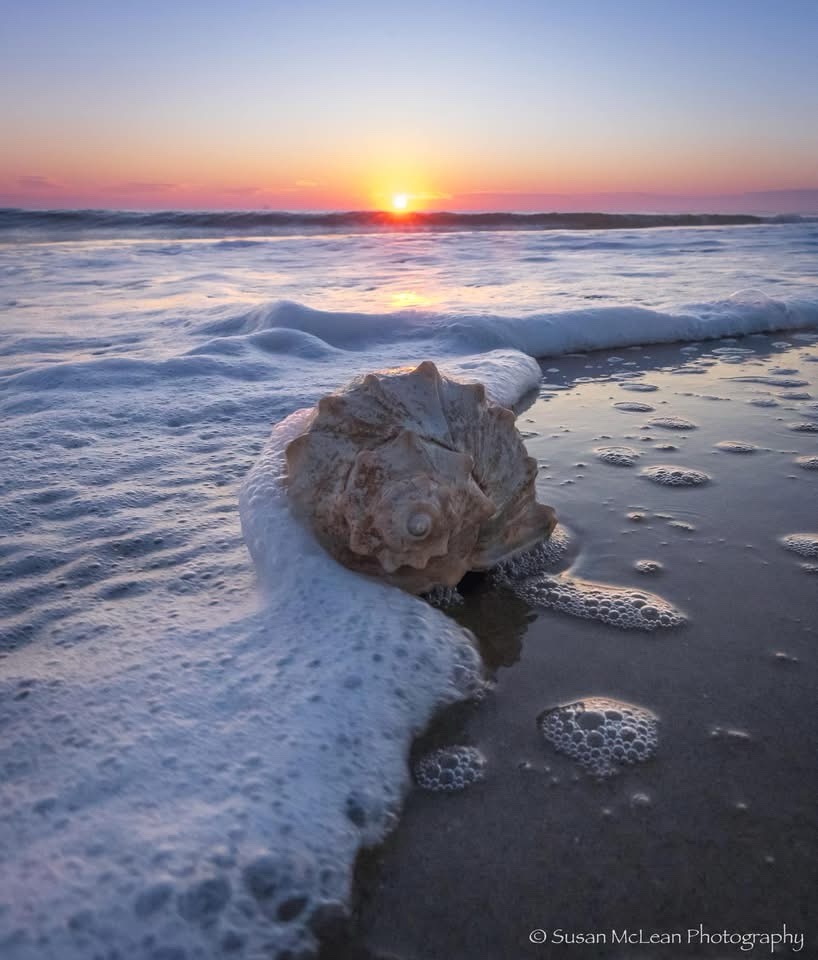 The Beauty of a New Day: Sunrise Moments