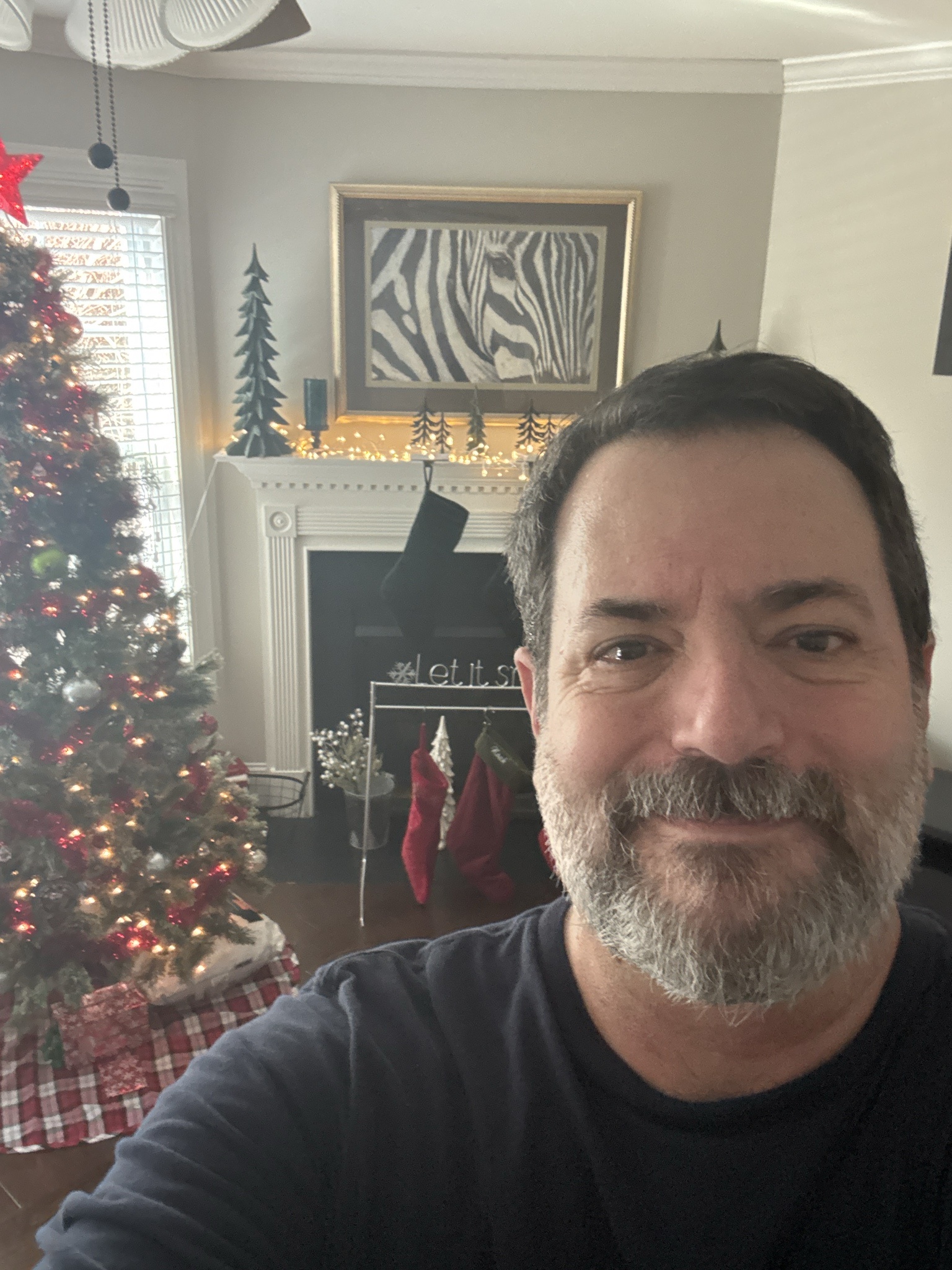 A Festive Selfie from the Future: XMas 2034!