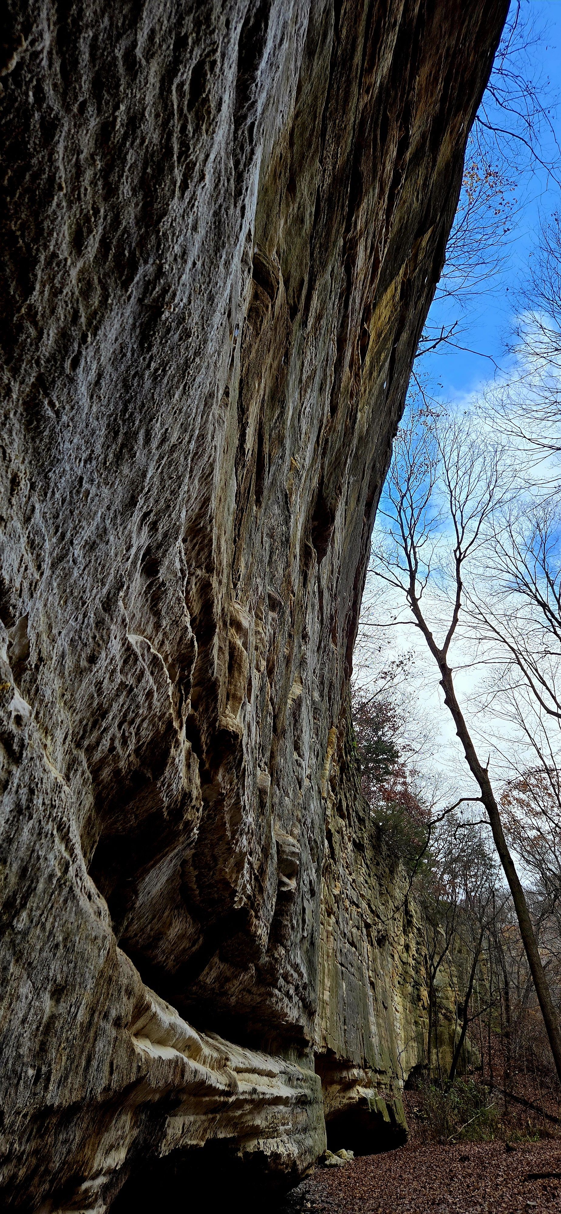Exploring the Wonders of Illinois Canyon