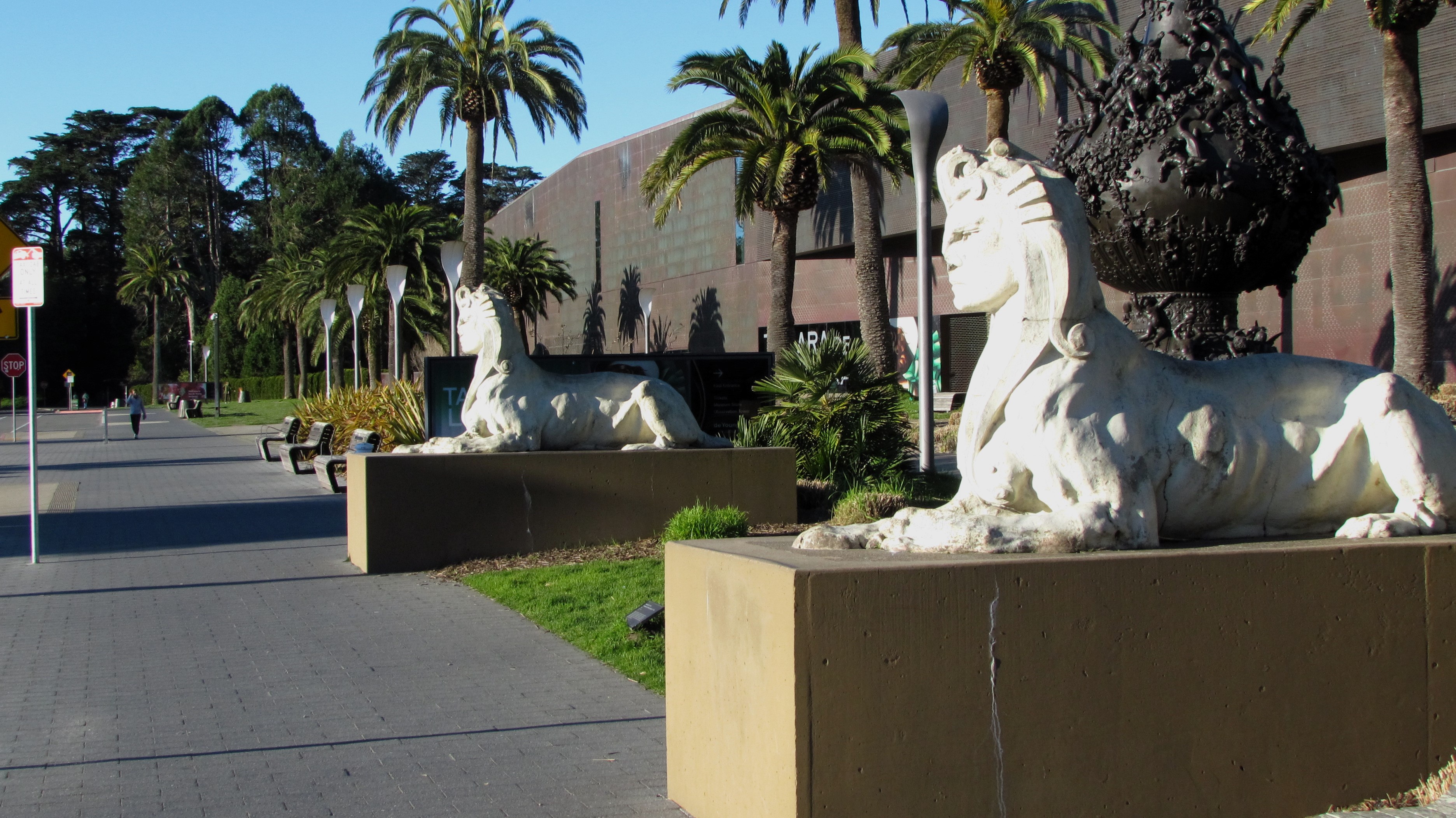 Exploring the Beauty of Golden Gate Park