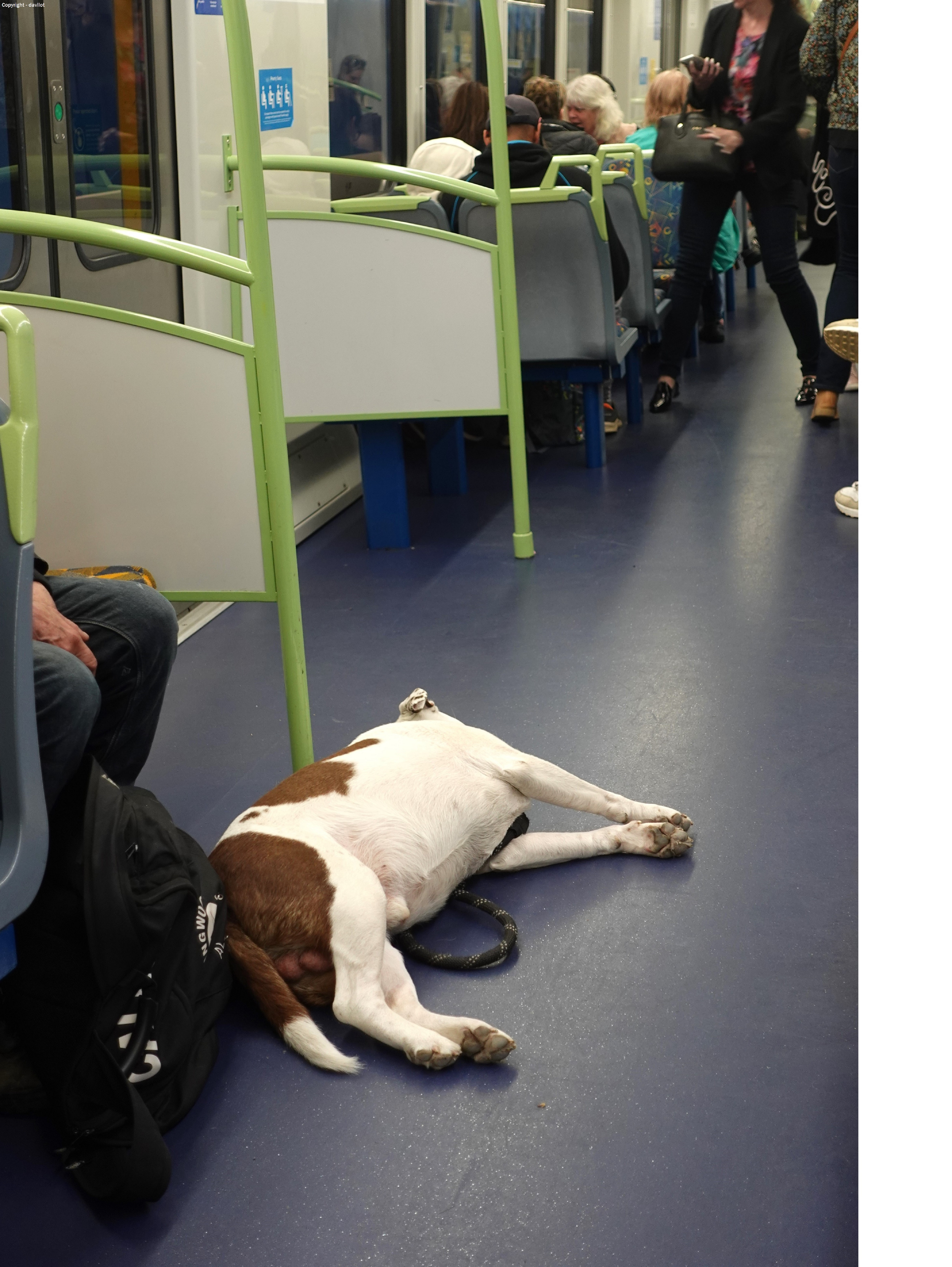 Exploring the Comfort of a Sleeper Carriage