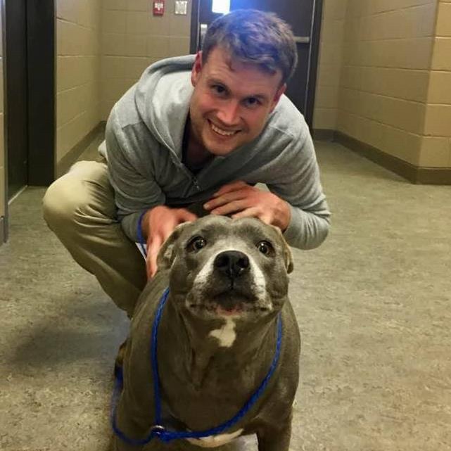 Life at the Animal Shelter: A Heartwarming Experience
