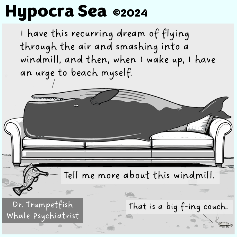 The Whale Therapist: Deep Conversations Under the Sea