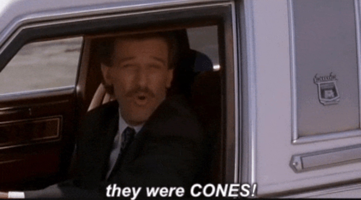 They Were Definitely Cones!