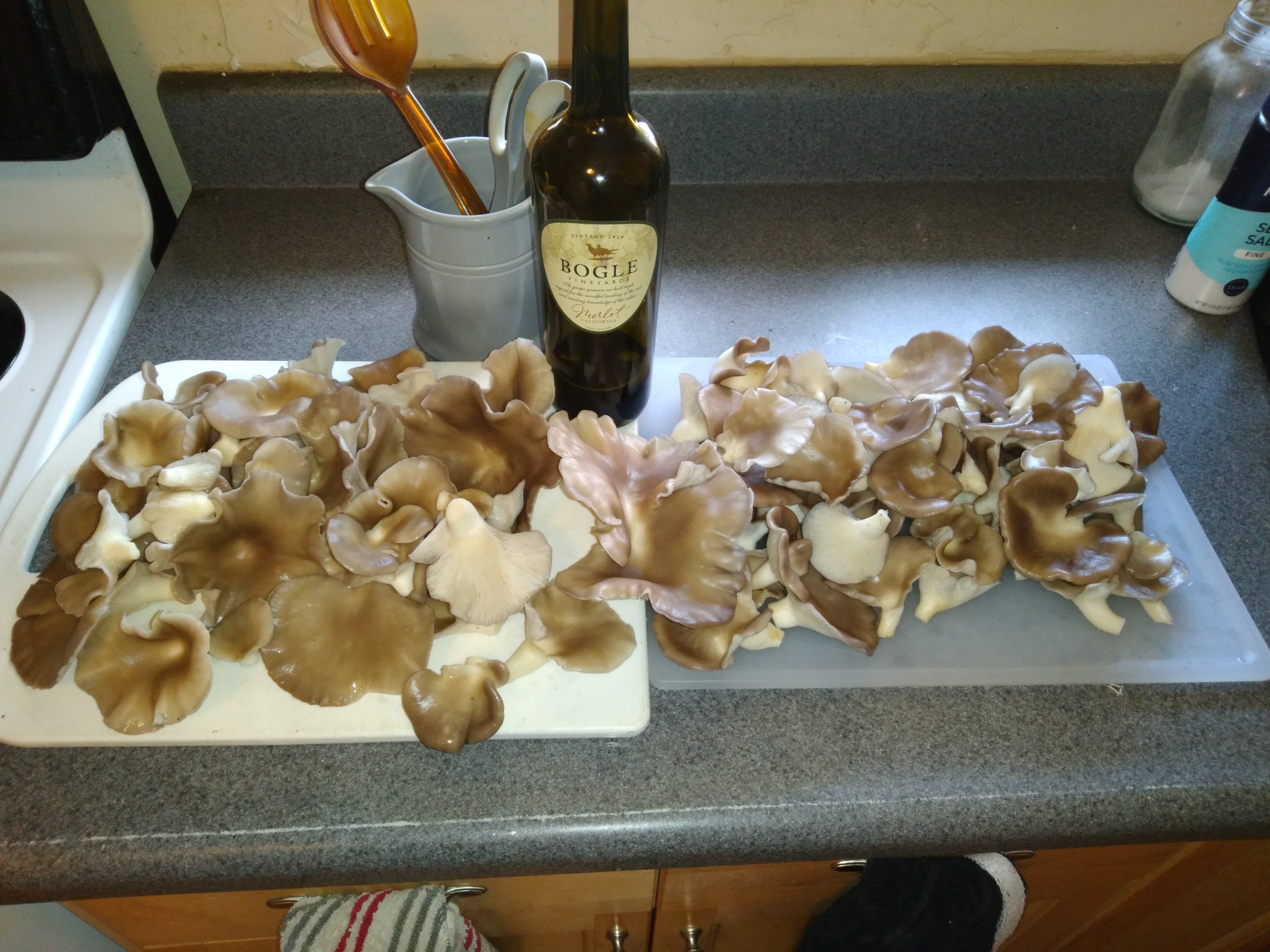 The Mystique of the Oyster: A Deep Dive