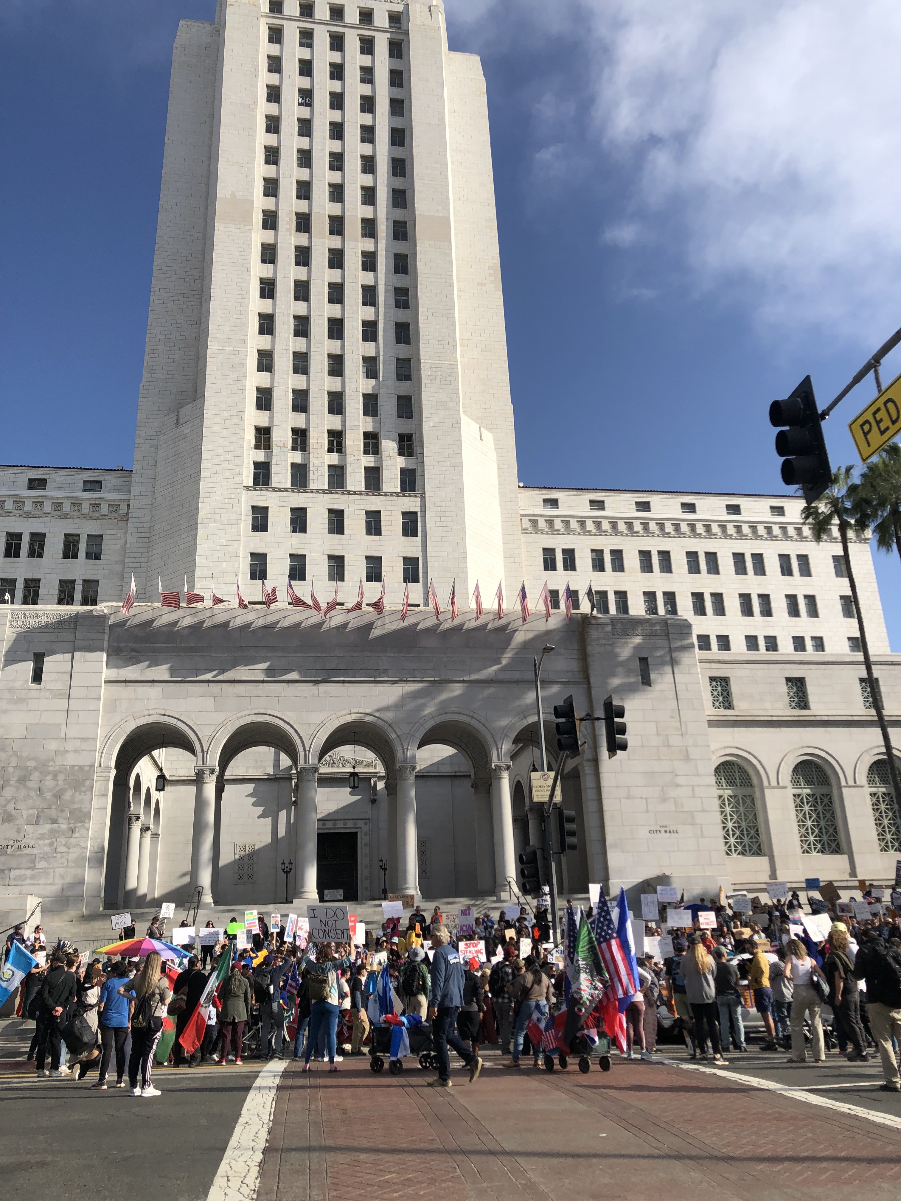 Protest in Los Angeles: The 50501 Movement
