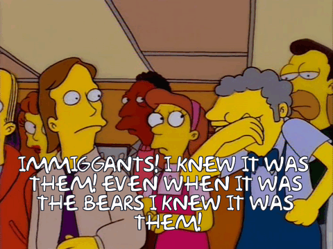 The Immigrants Journey
