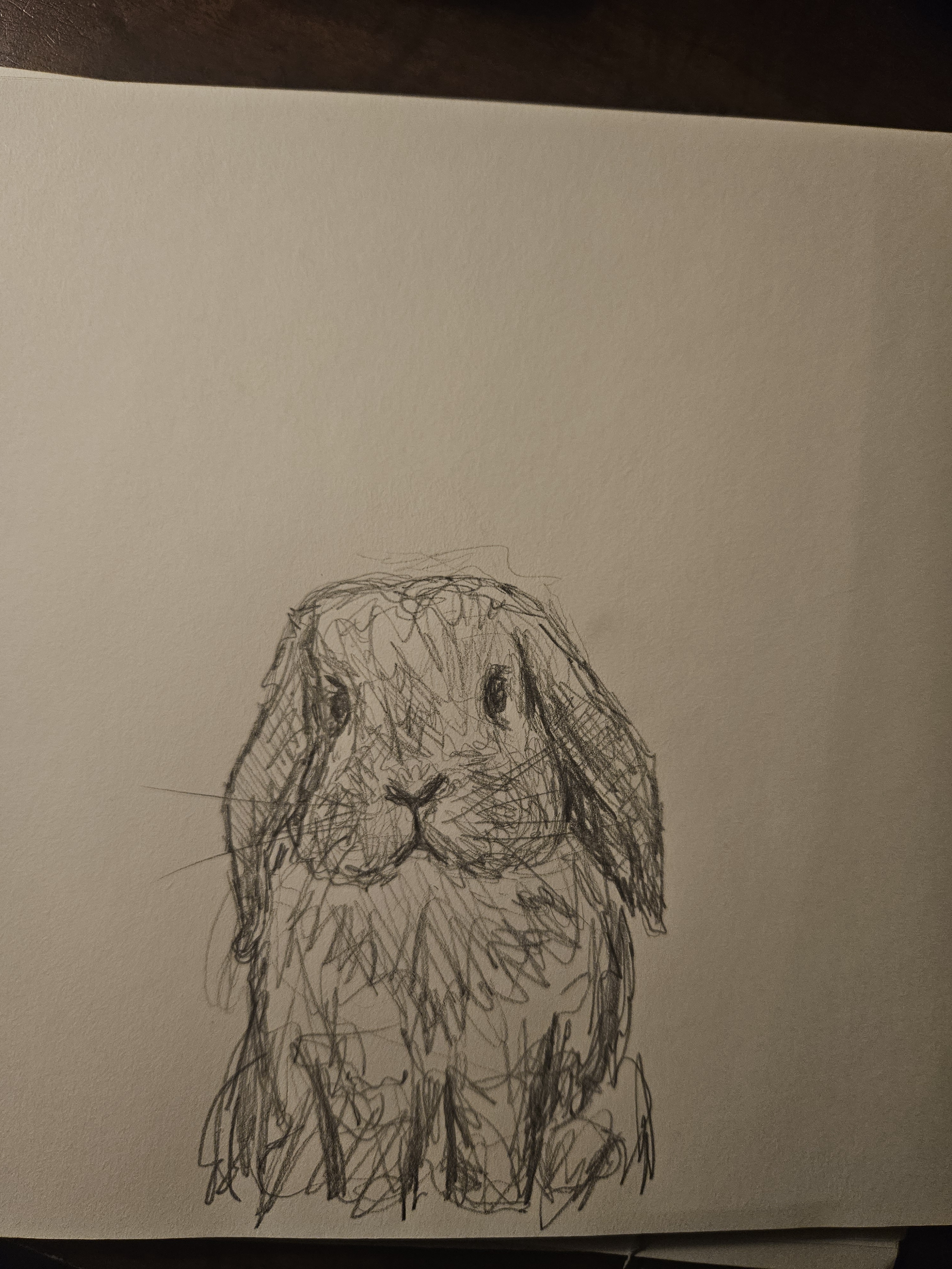 A Quick Sketch of a Bunny