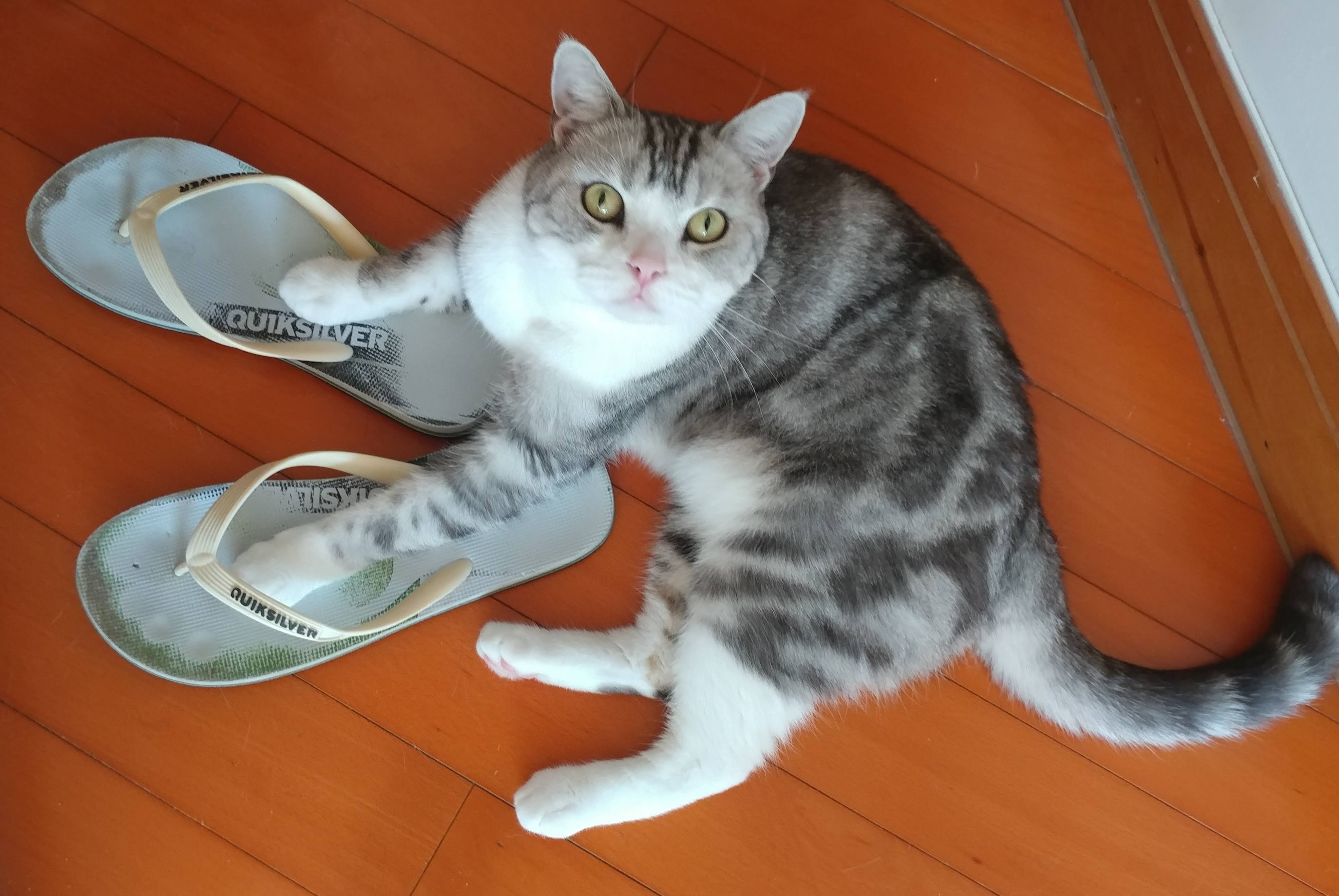 When Your Shoes Are Just Too Big for Your Feet