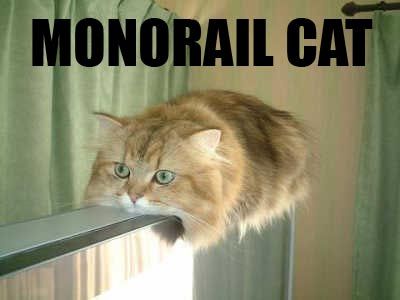 Do You Remember Monorail Cat?