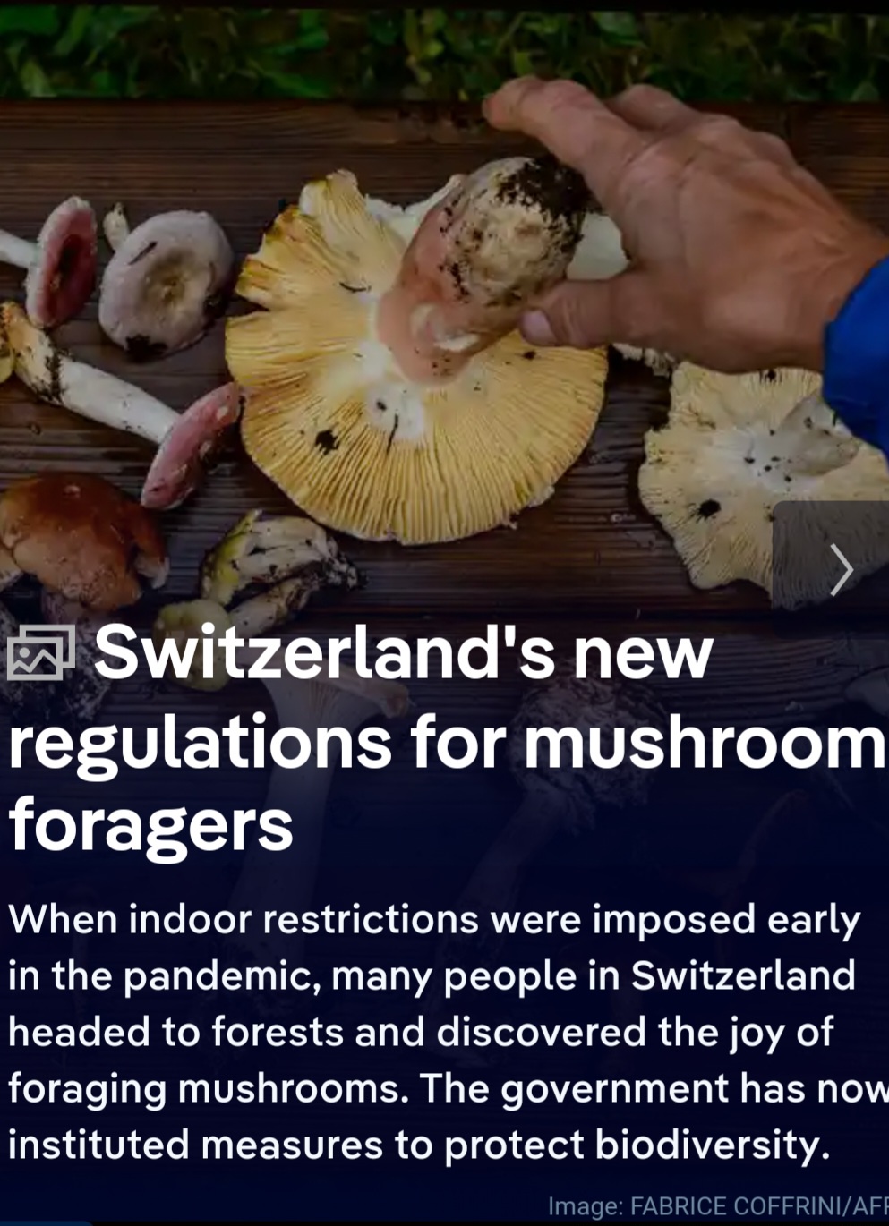 Greetings from Switzerland!