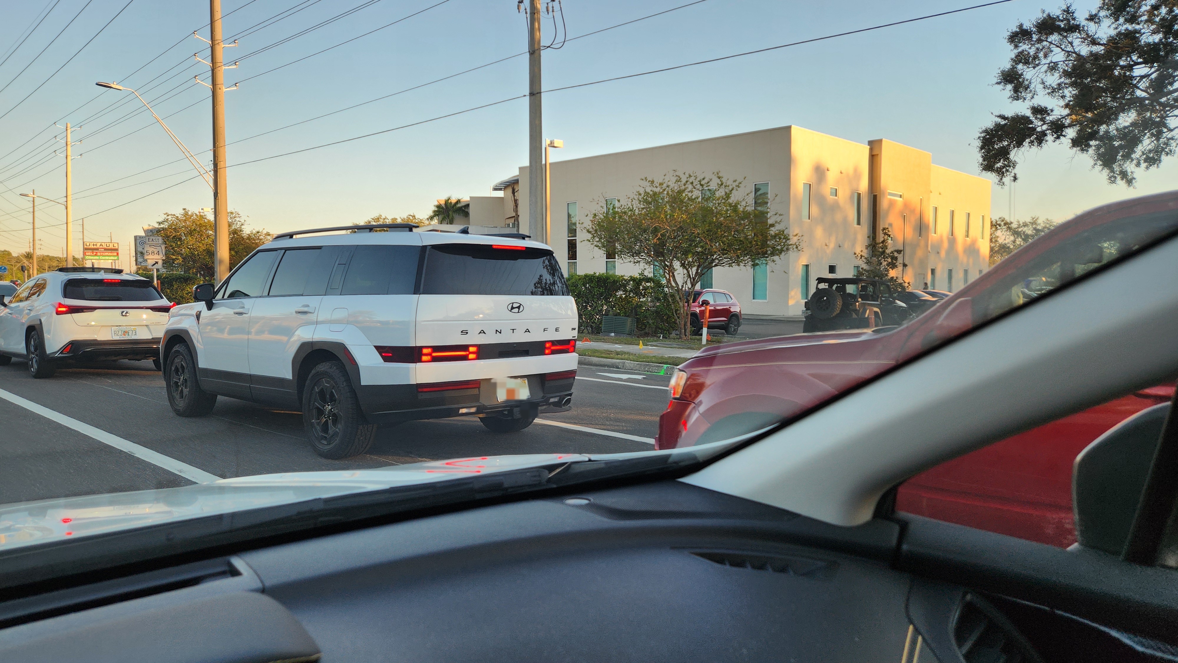These Taillights Resemble Adorable Dog Bones!