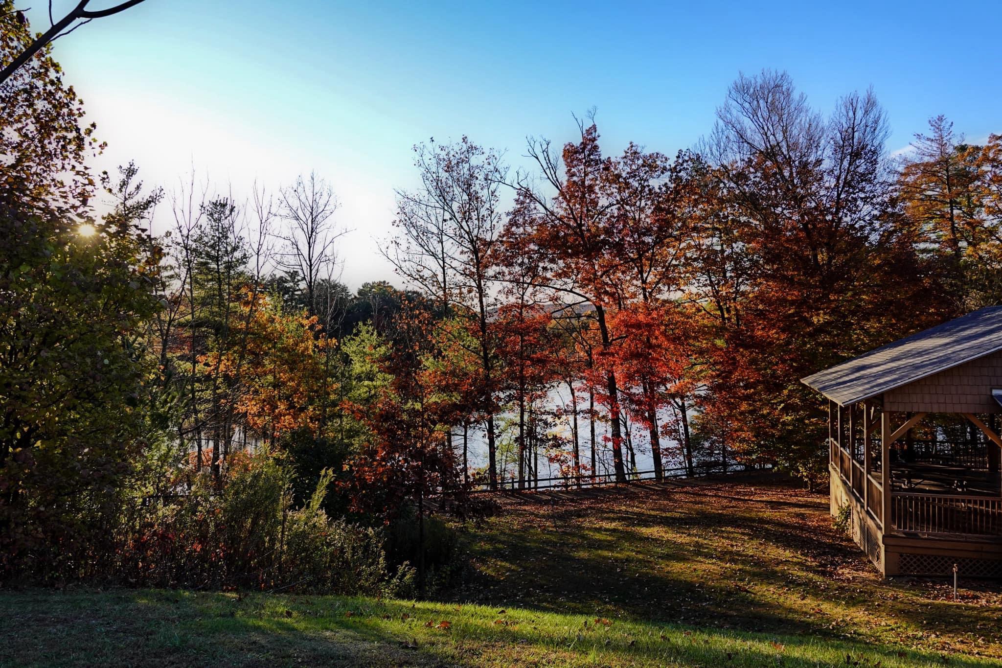 The Beauty of Autumn Unfolds
