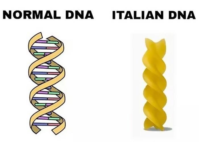 Celebrating the Love and Passion of Italians