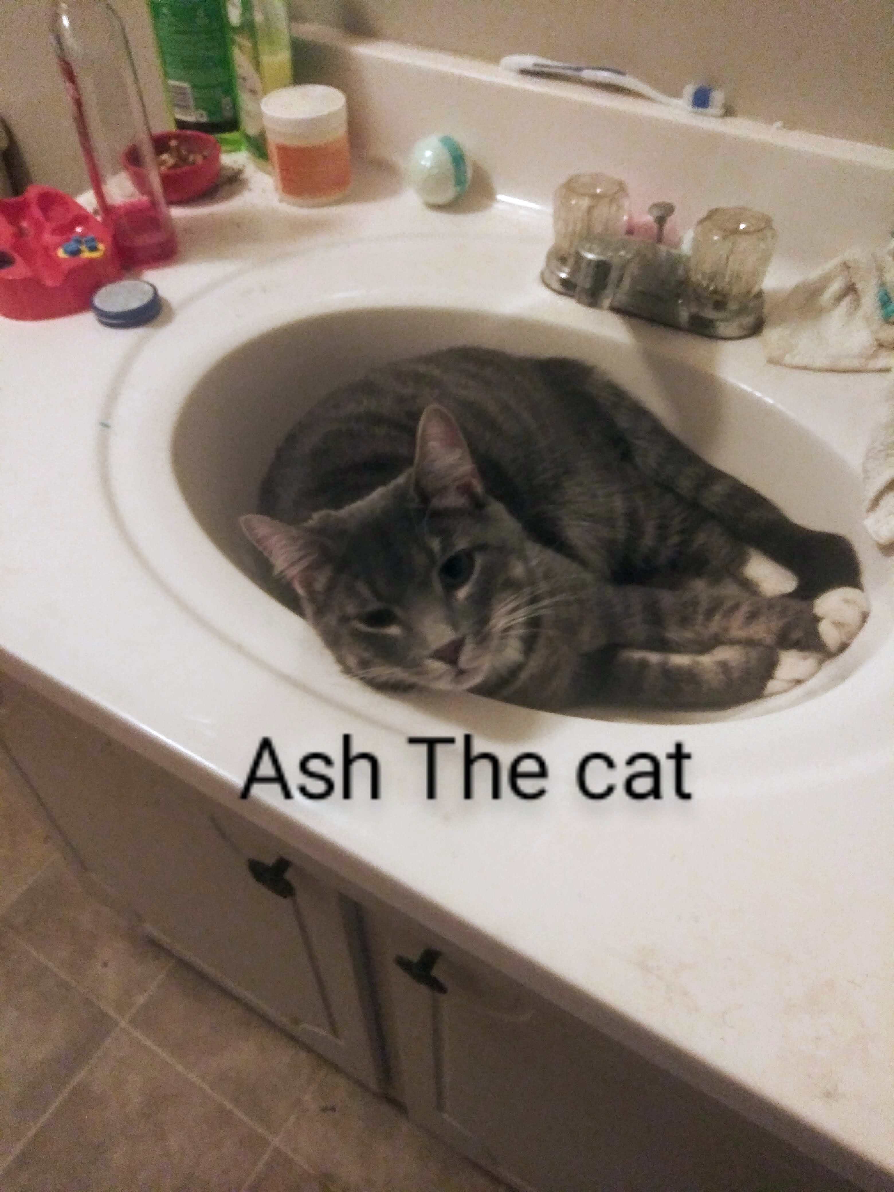 Ash: A Mysterious Presence