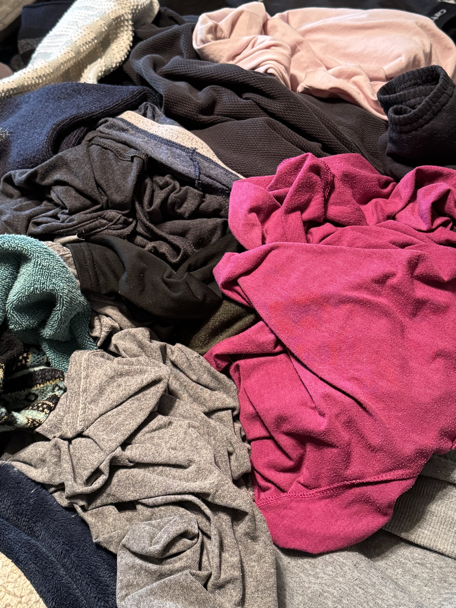 Help Me Find Anakin: He Can't Resist a Fresh Pile of Laundry!