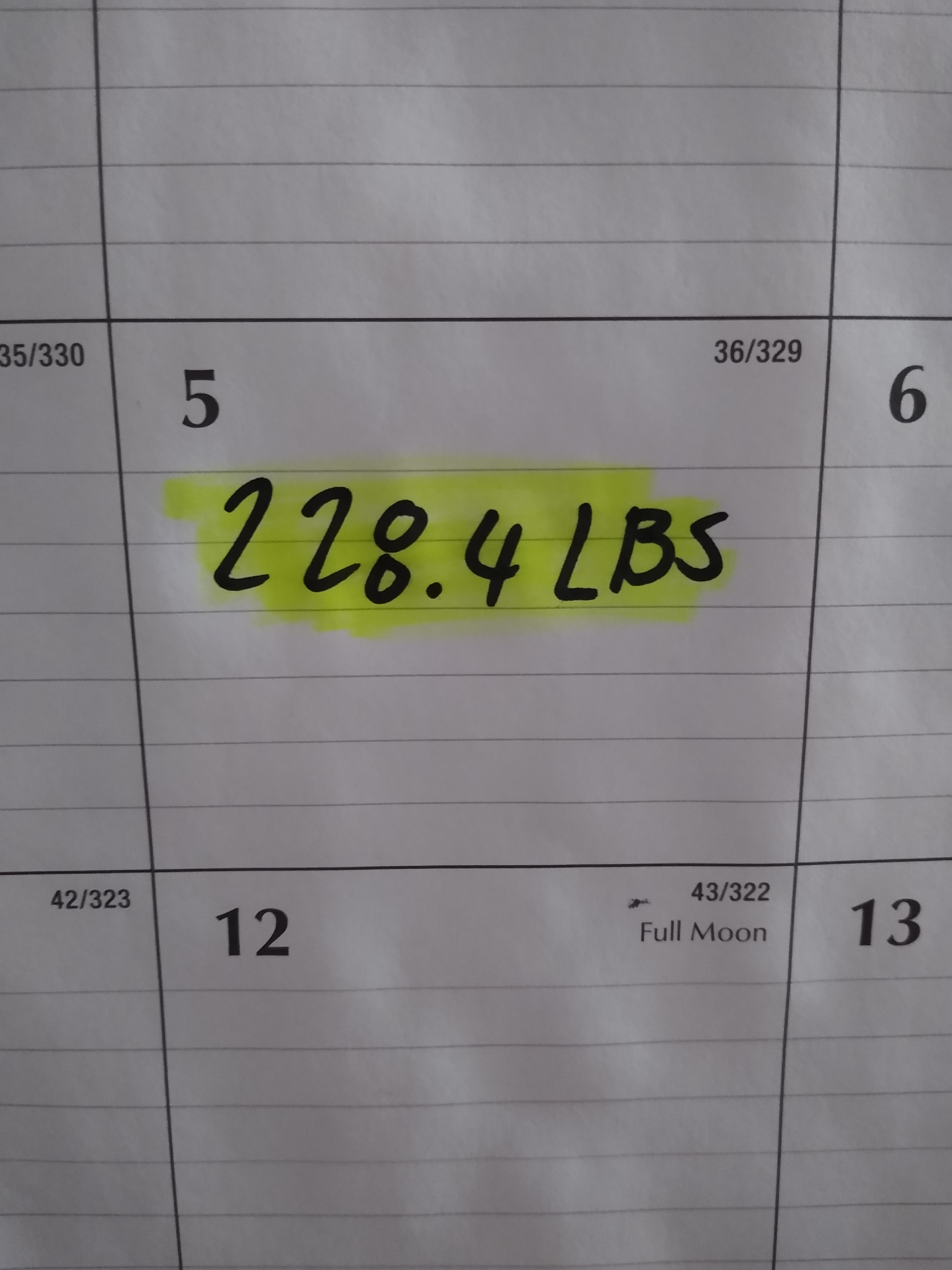 Day 7: Daily Weight Check and Calorie Tracking