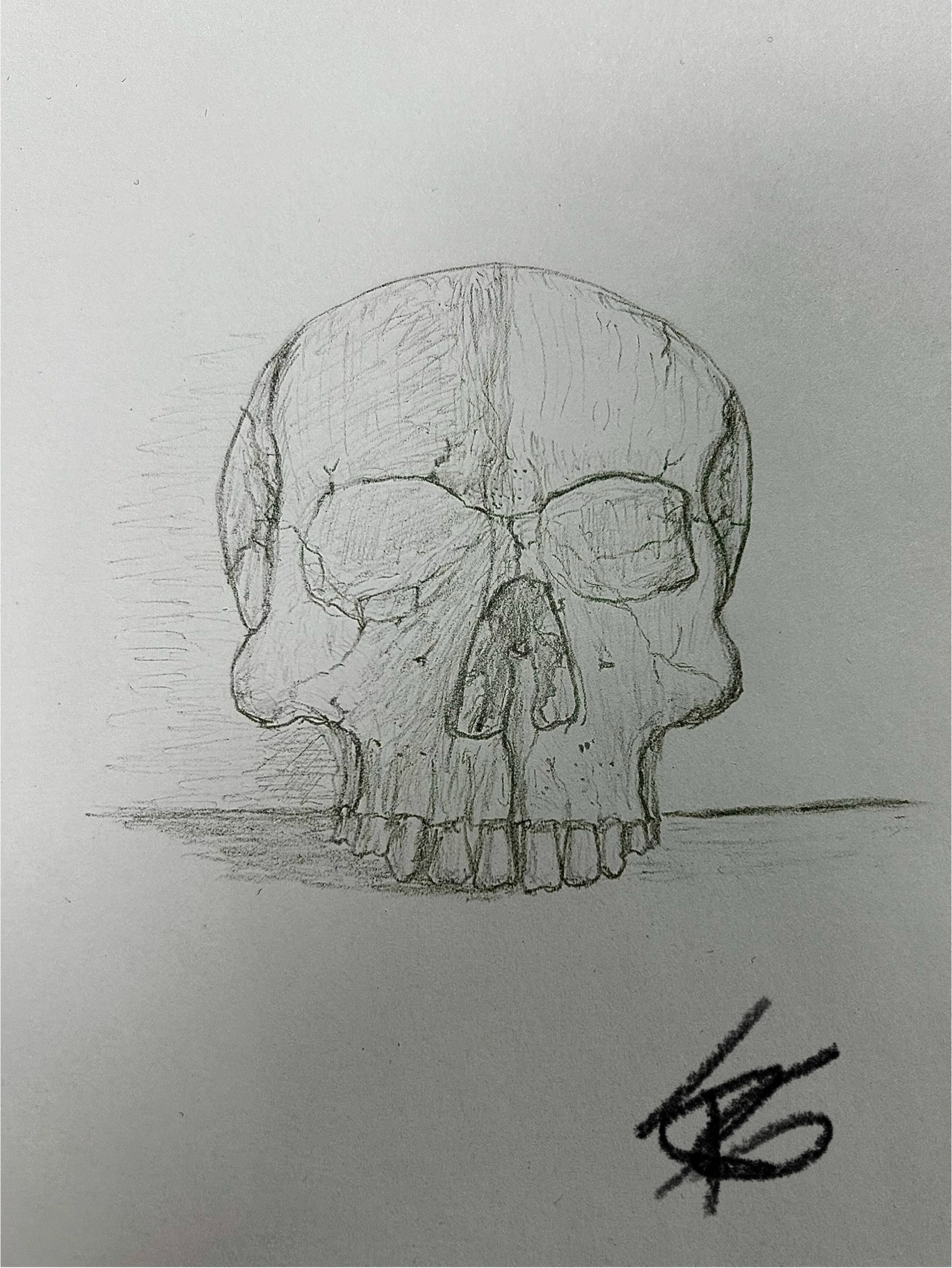 Intriguing Pencil Skull: A Unique Artistic Creation
