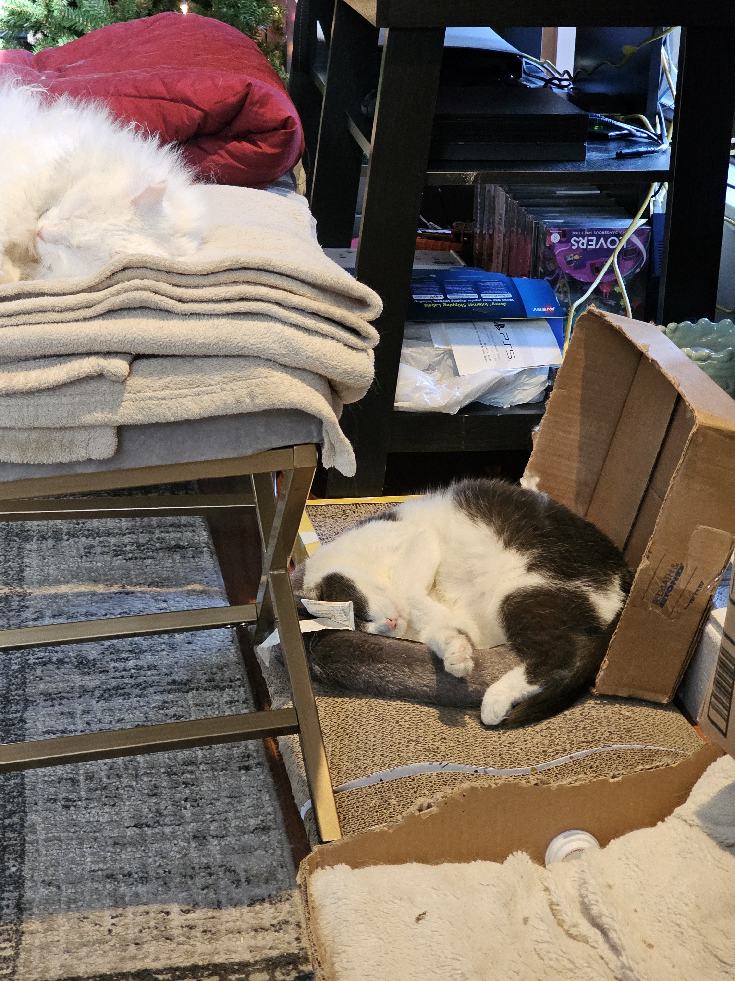 Completely passed out and living the dream