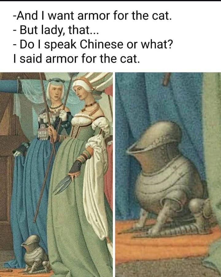 Introducing the ultimate cat armor for your furry friend