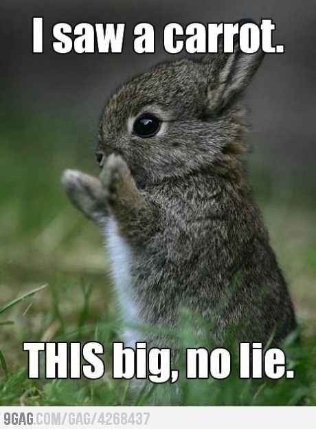 I Spotted a Carrot!