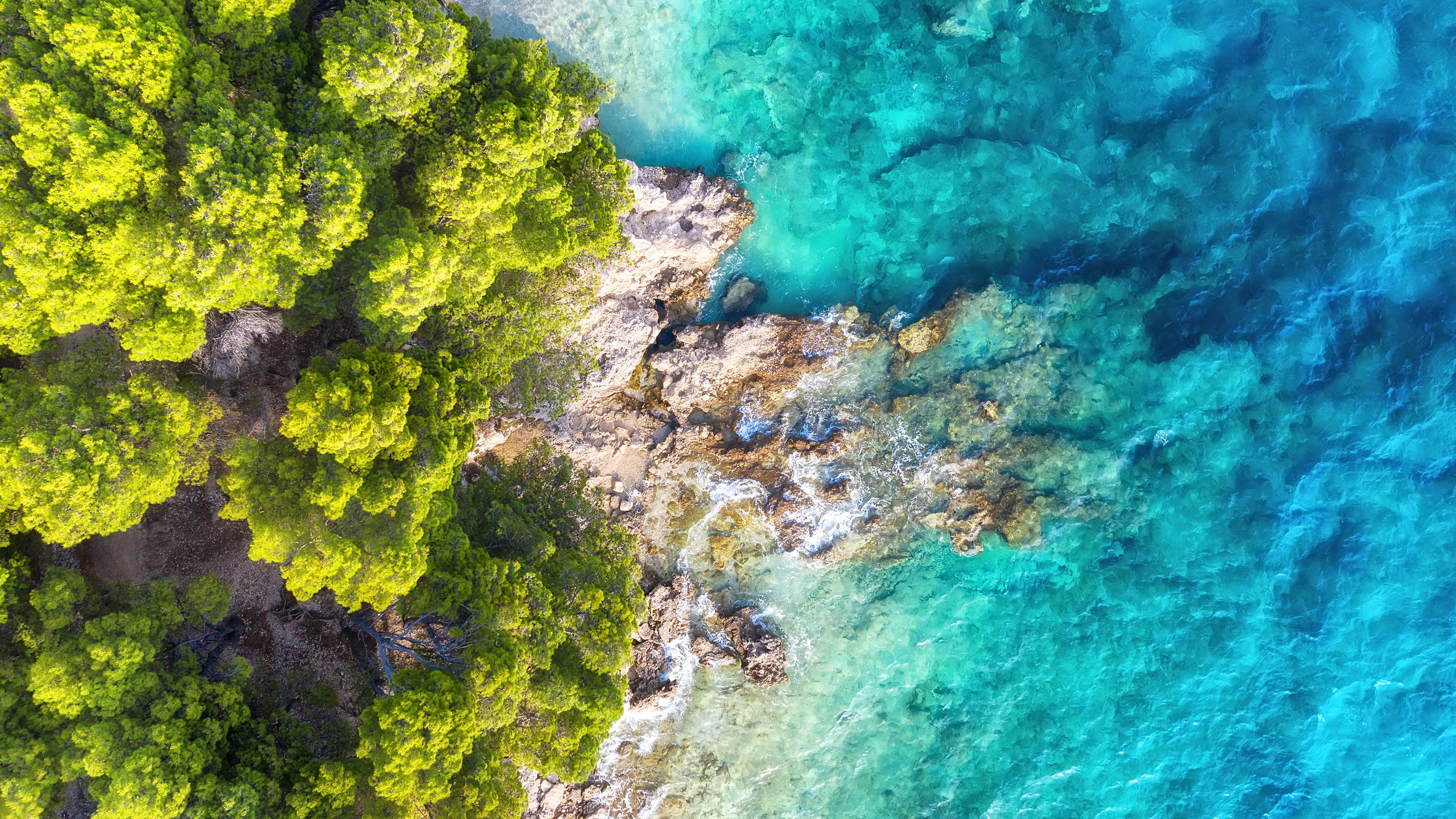 Nature's Palette: Green Trees and Blue Seas