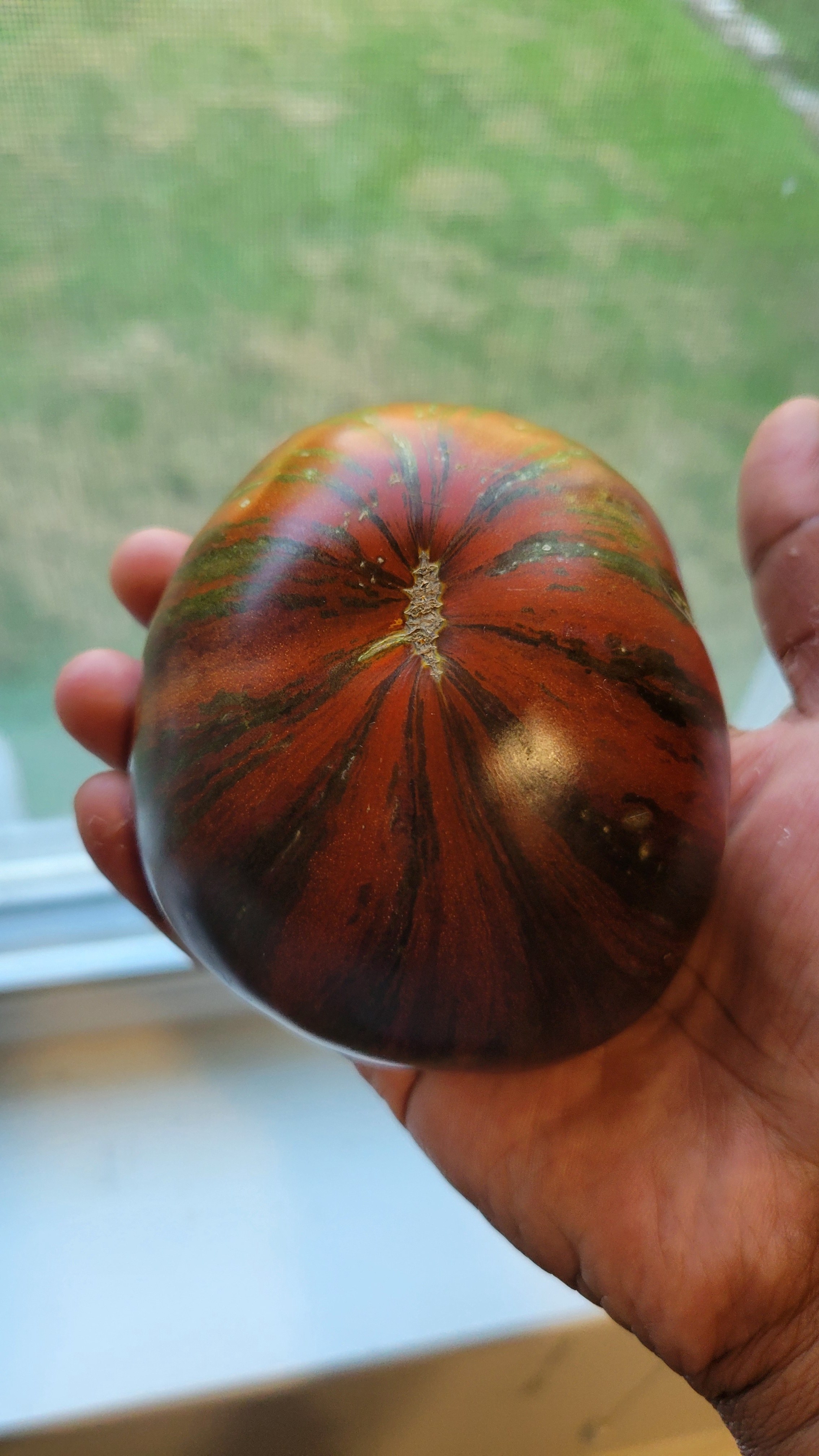 Look at This Gorgeous Tomato!