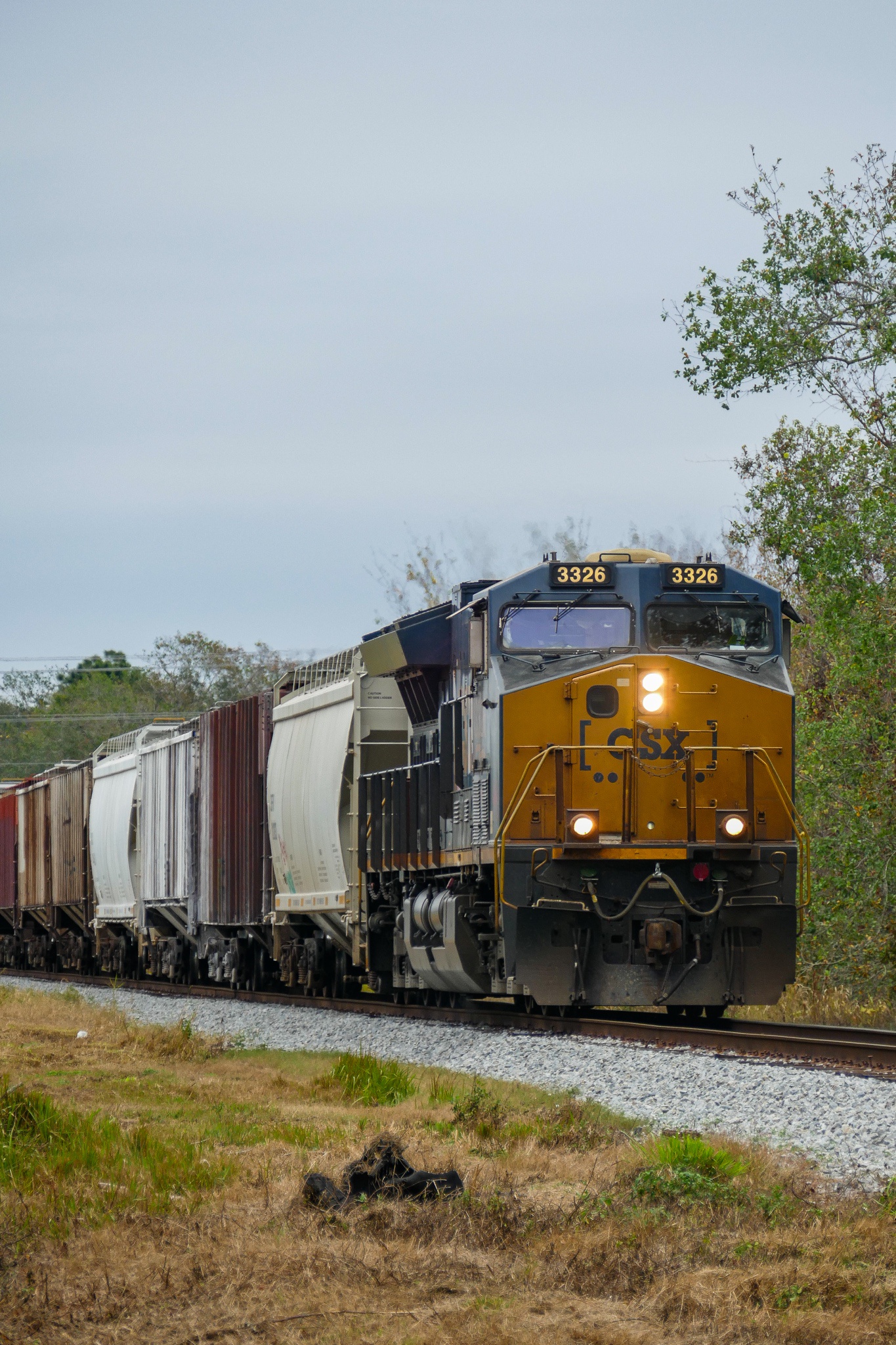 All Aboard the CSX Adventure!