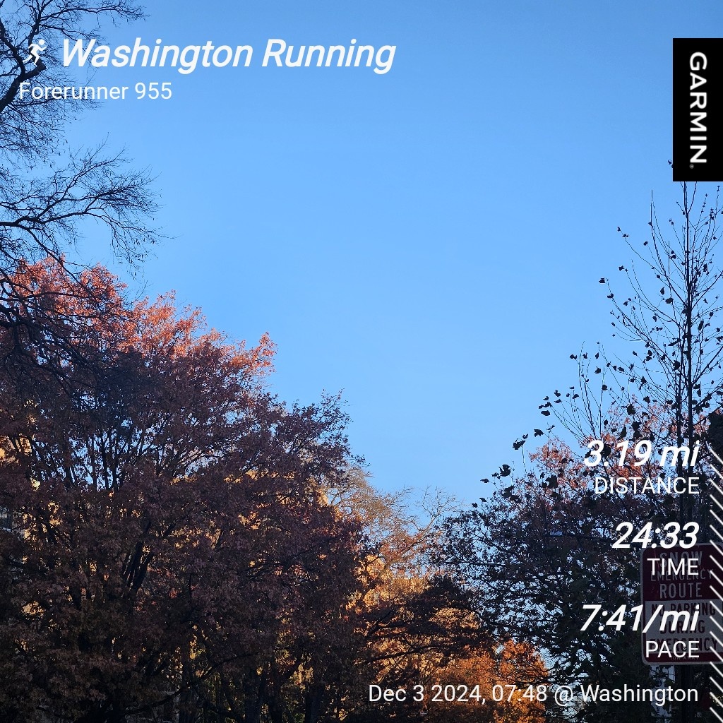 The Daily Run: Keeping Fit and Focused