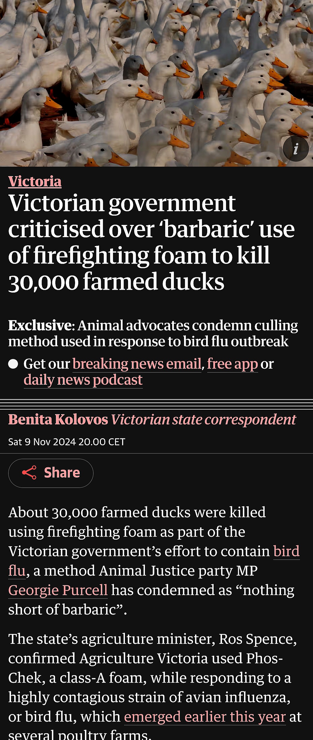 First, We Test on Animals, Then We Bring It to Australia