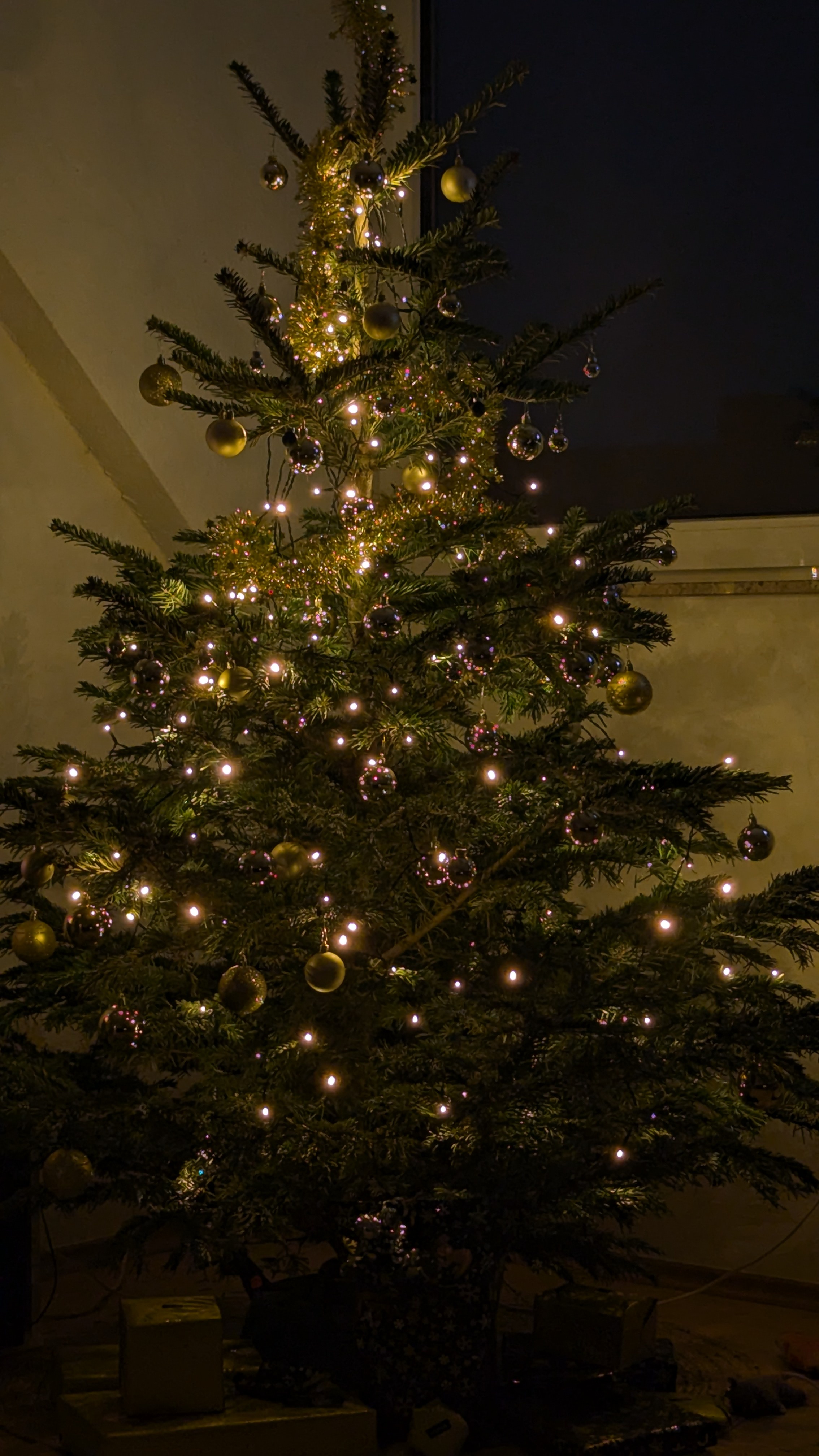 Wishing You a Merry Christmas!