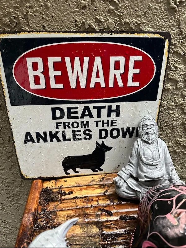 Consider this your official warning...