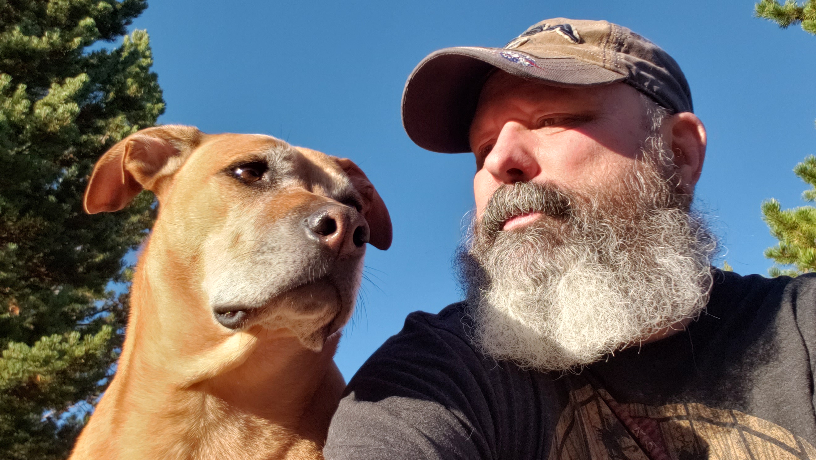 Your Daily Dose of Selfie: Obligatory Edition