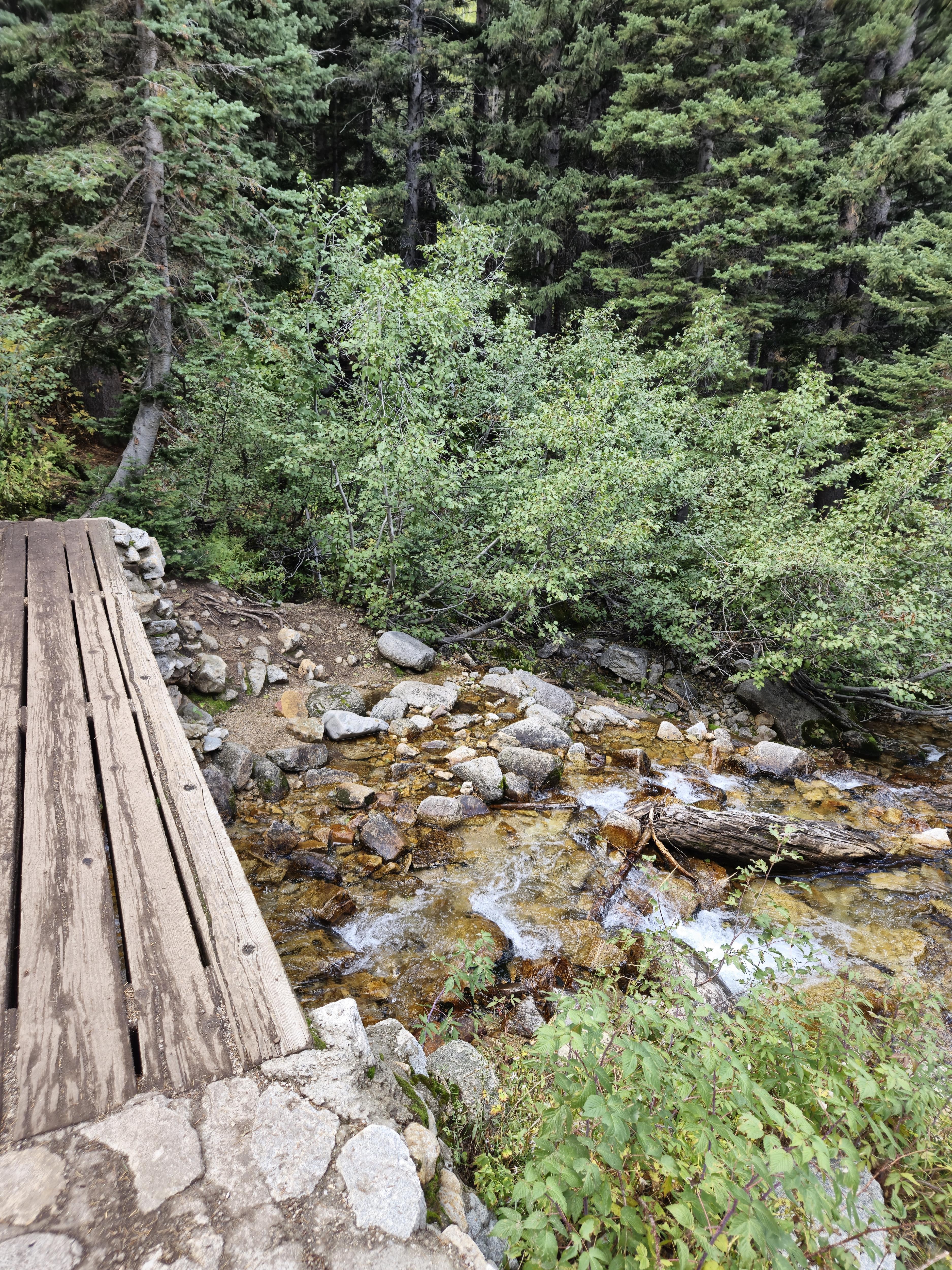 Hiking the Red Pine Lake Trail: A Scenic Adventure in SLC, UT